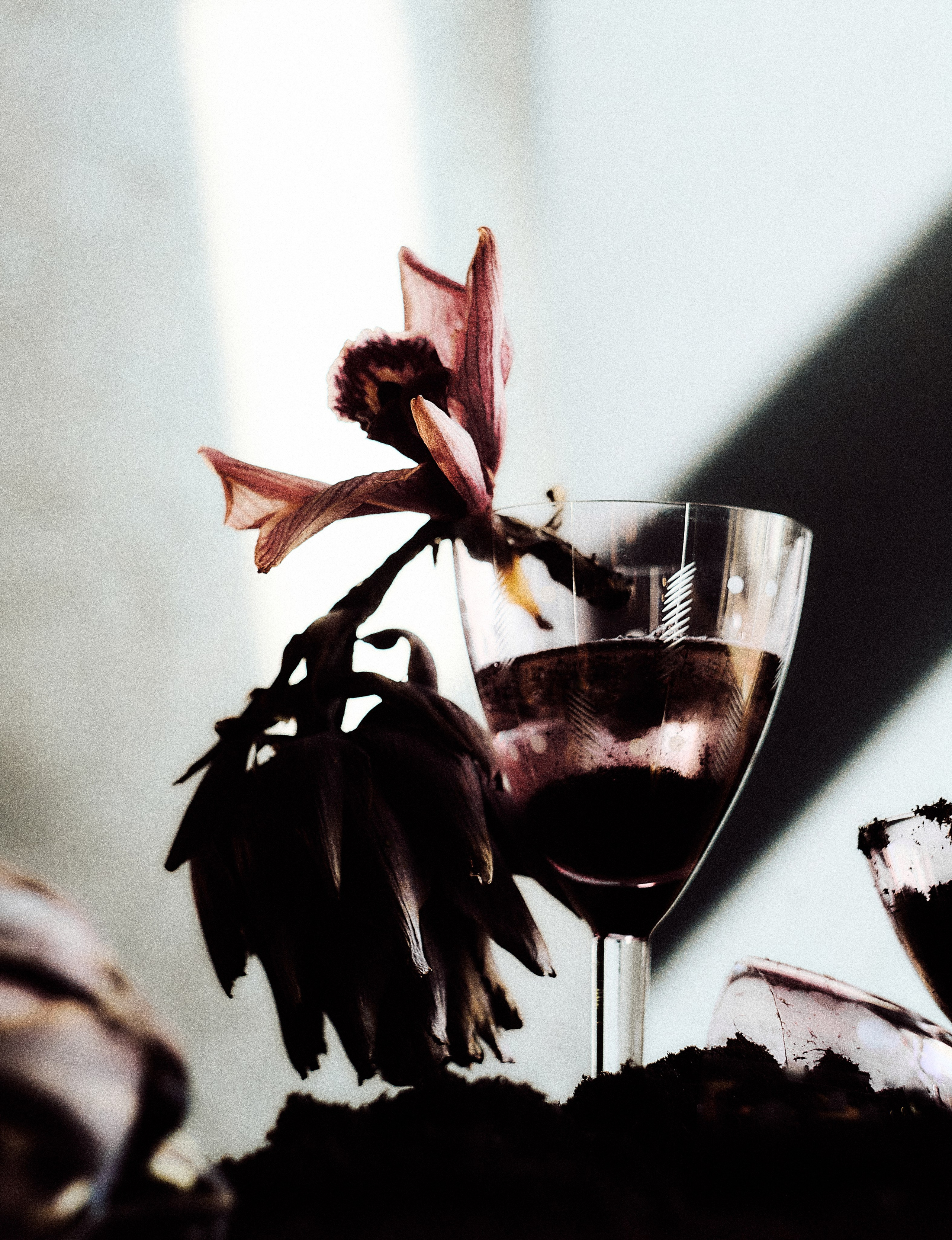 Фотограф Анна Фокина