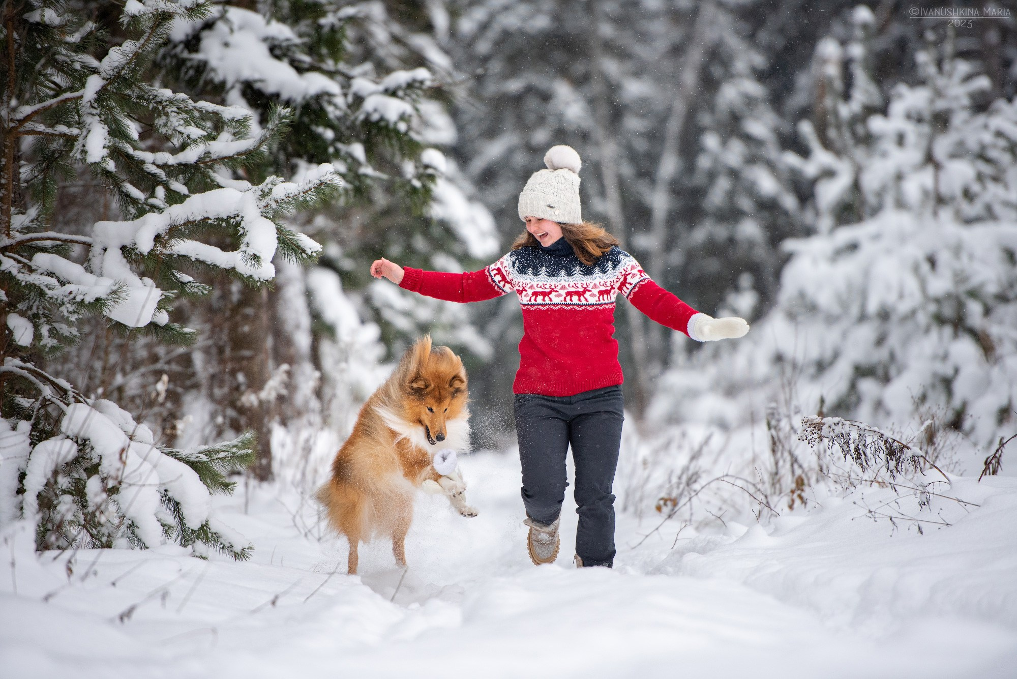 Фотосессия с собакой. Фотограф собак в Москве и Московской области Иванушкина Мария