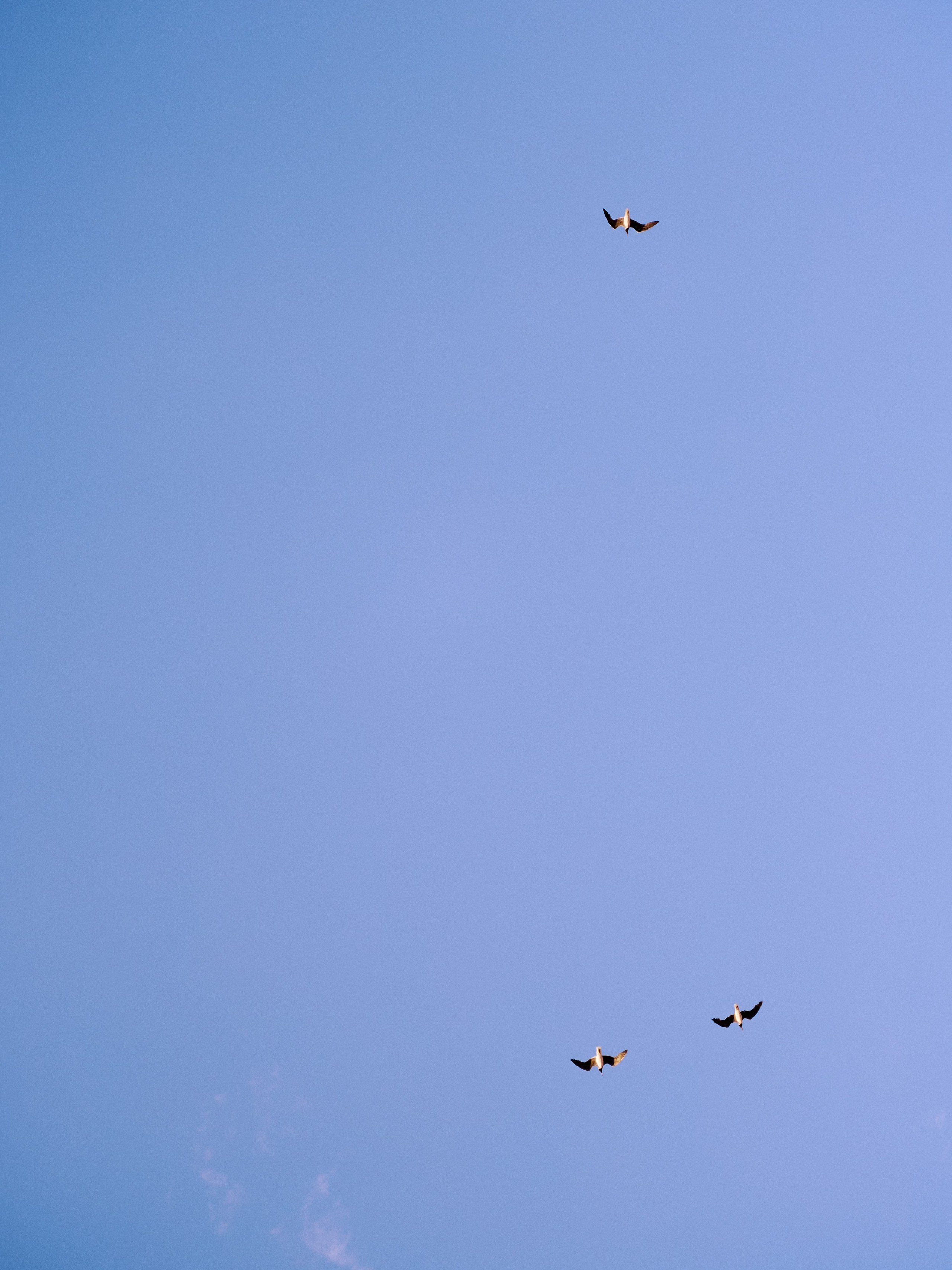 Другое 3. Jorgis Talè — photographer, kind person, teacher of arts and other mag