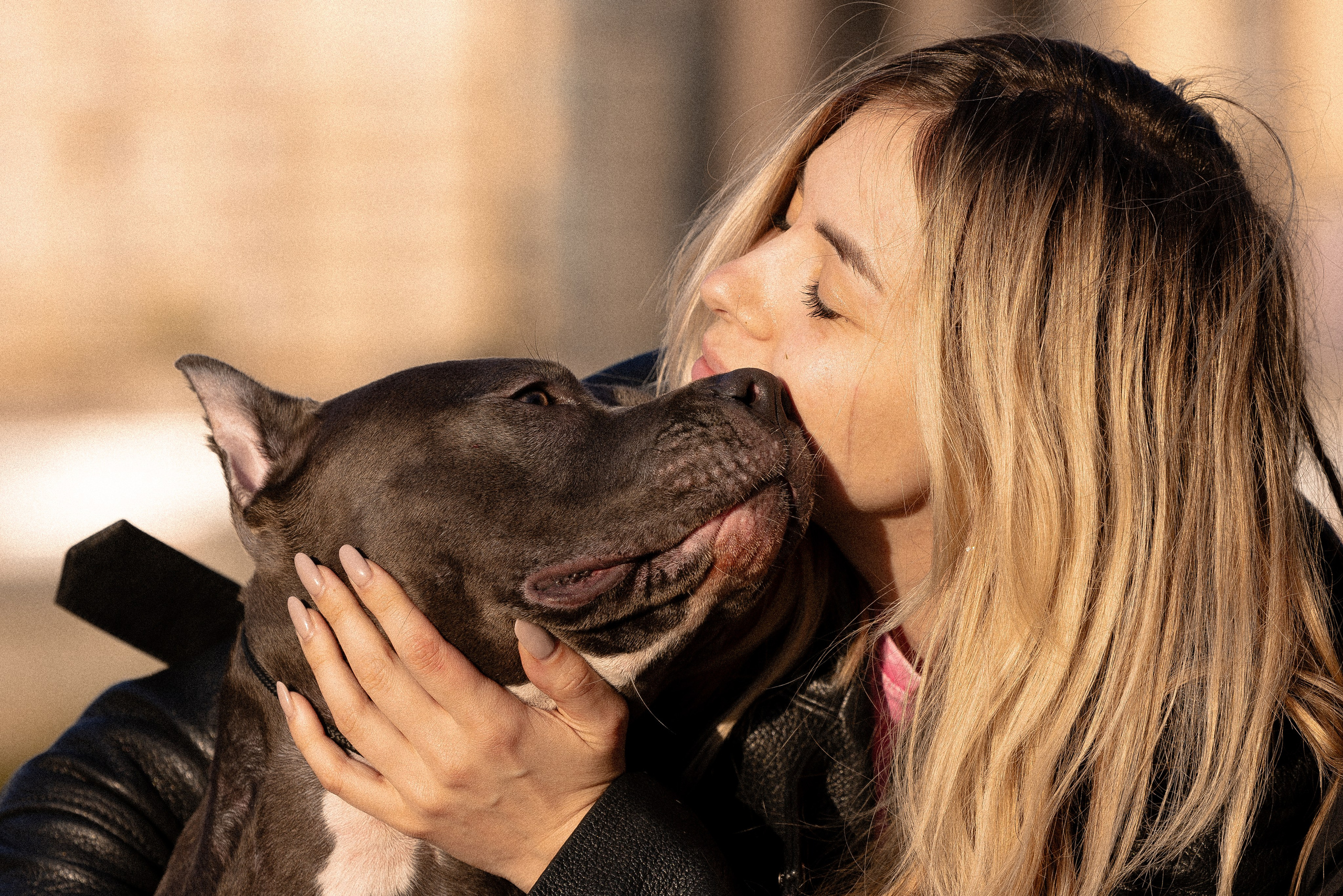 Катя, Леша, Лея и Трой. Фотограф и видеограф анималист Аганина Дарья