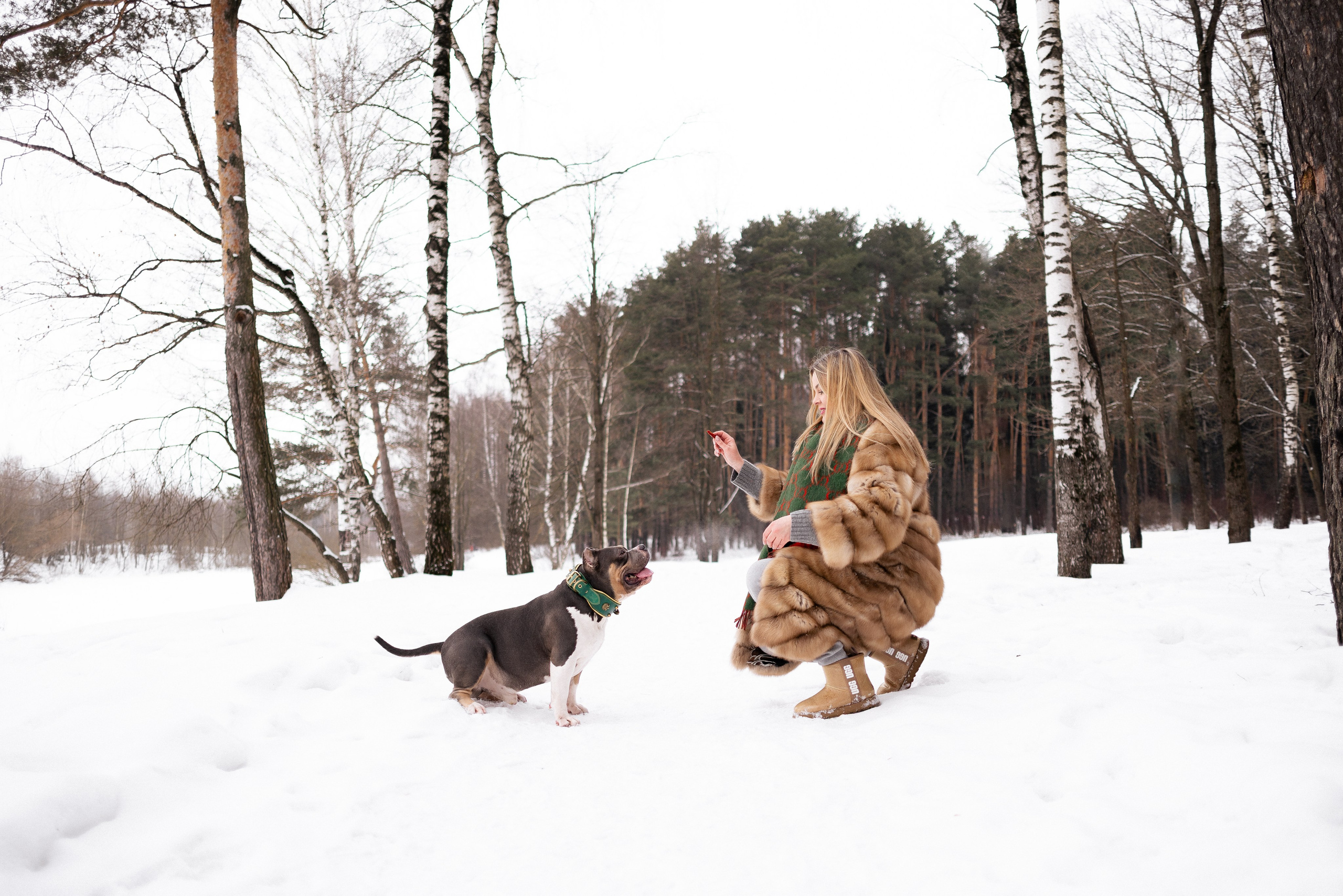 Лера и Наган. Фотограф и видеограф анималист Аганина Дарья