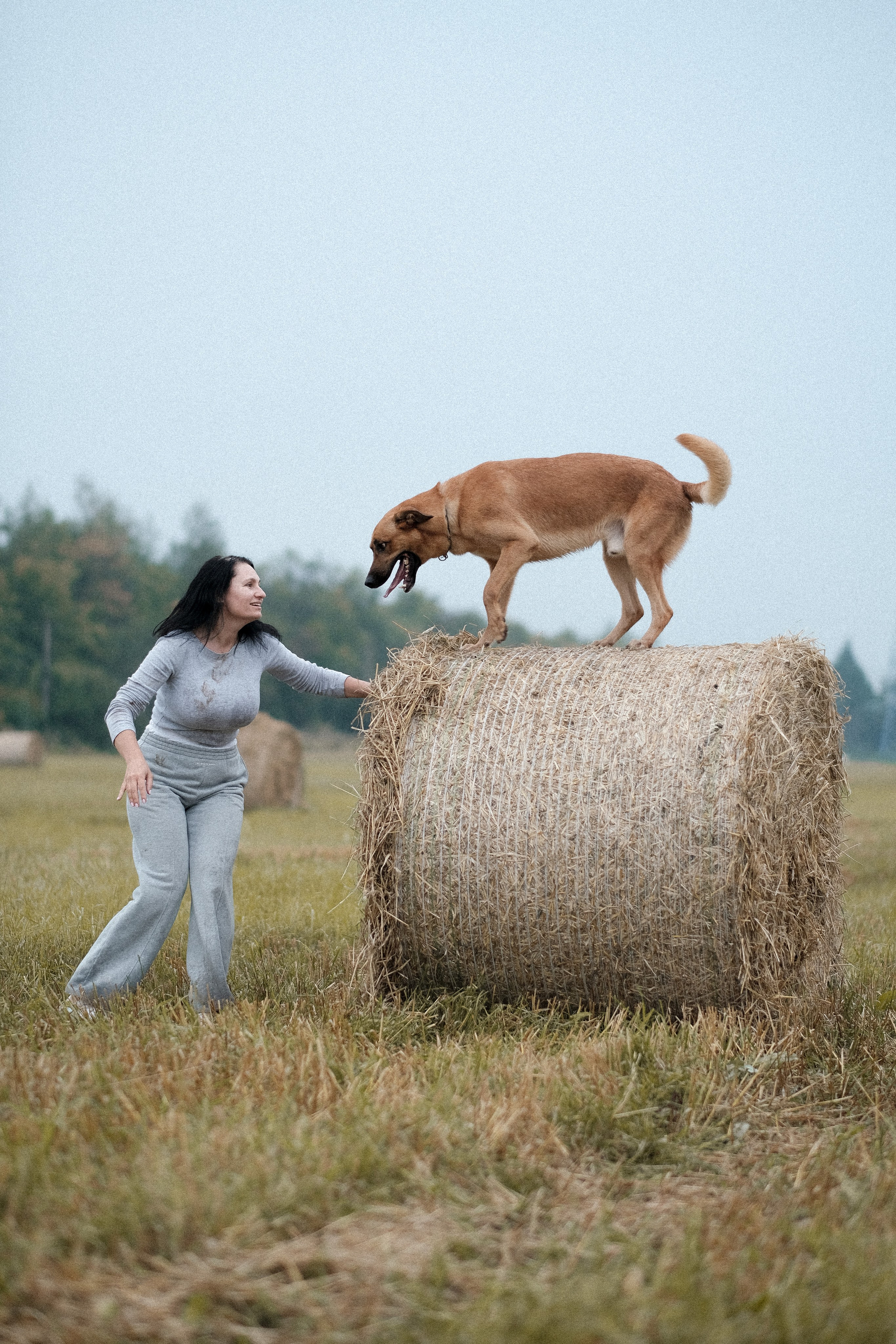 Тео и Оля. Фотограф и видеограф анималист Аганина Дарья