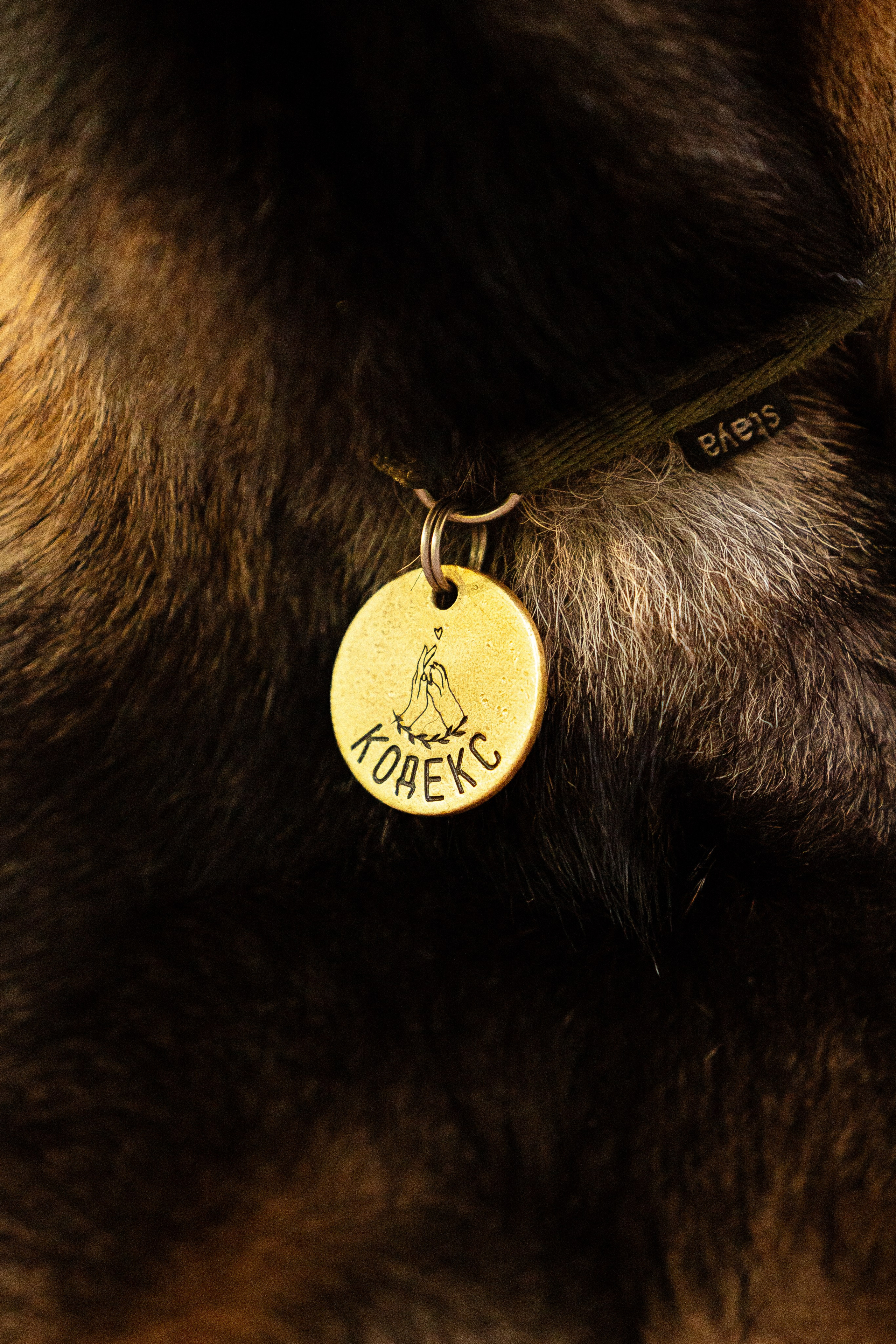 Галина и Кодекс. Фотограф и видеограф анималист Аганина Дарья