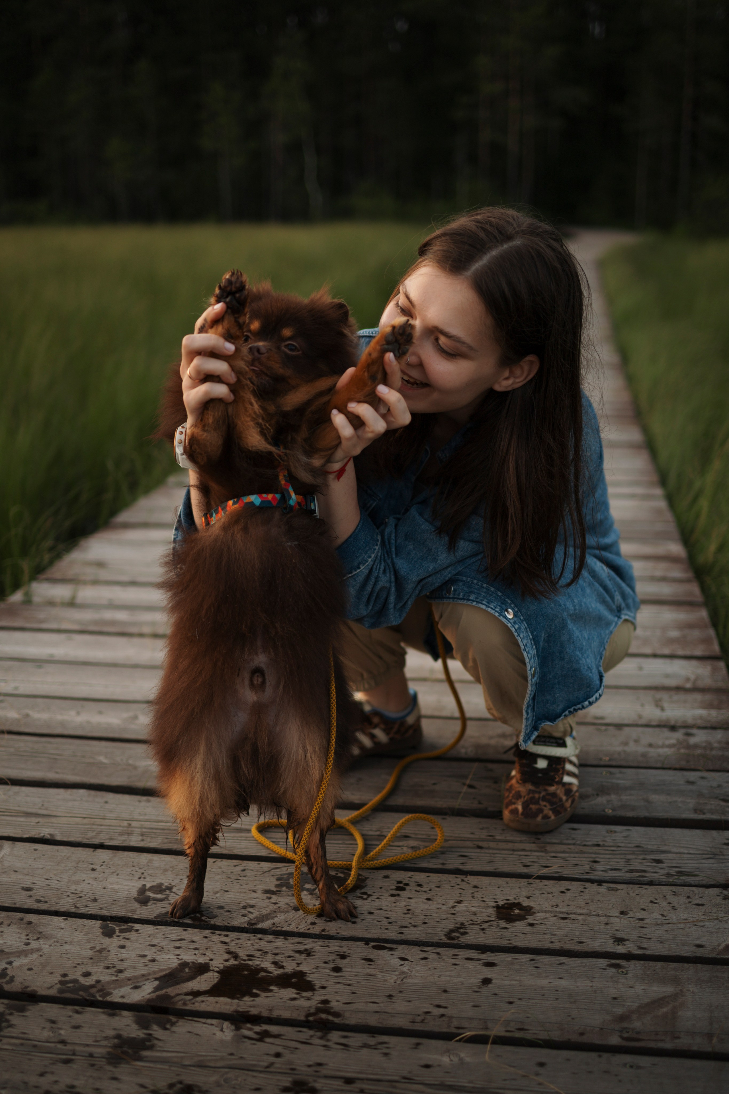 Сапфир и его семья. Фотограф-анималист в Санкт-Петеребурге Титова Алиса