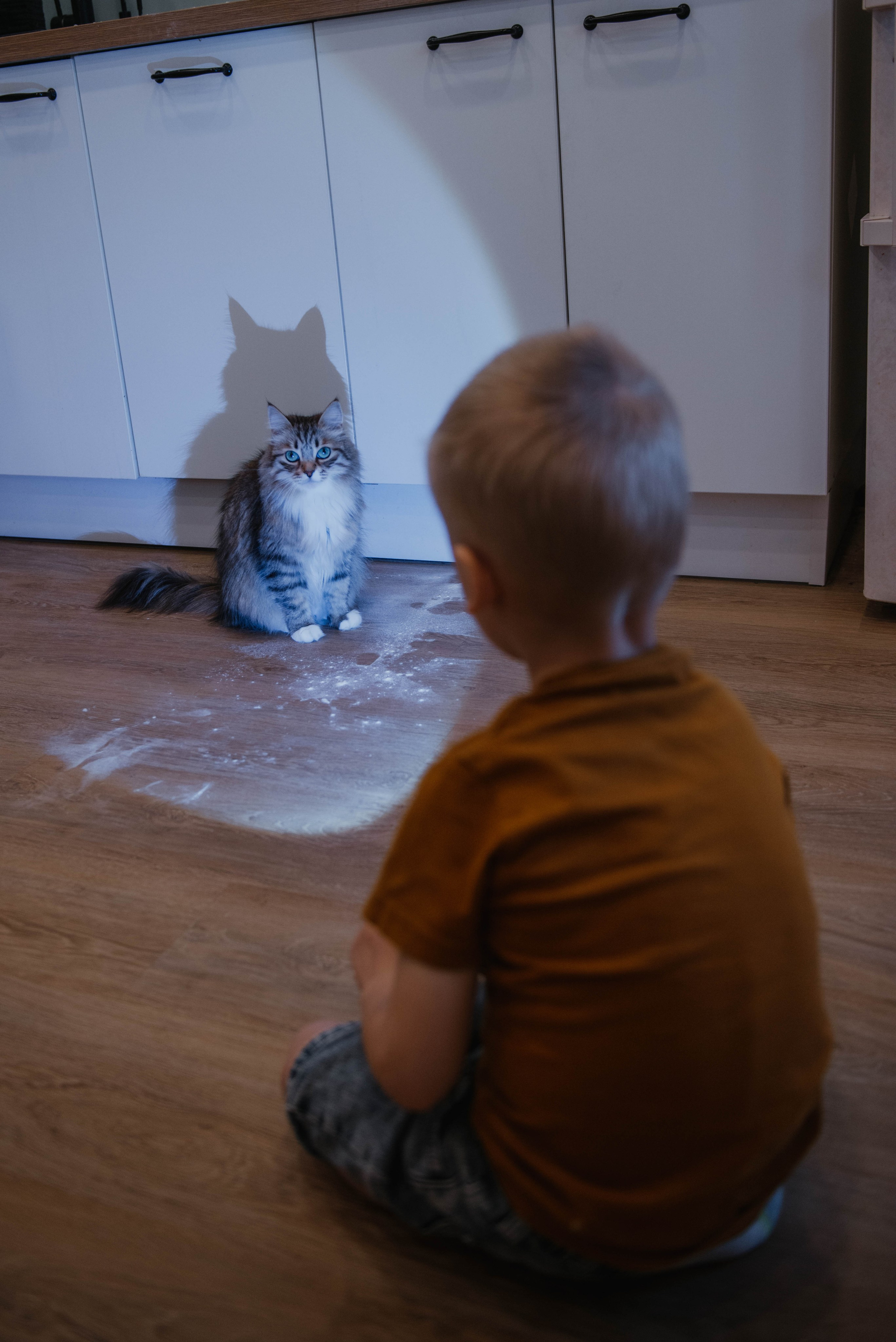 Масленица с теплом. Фотограф Санкт-Петербург
