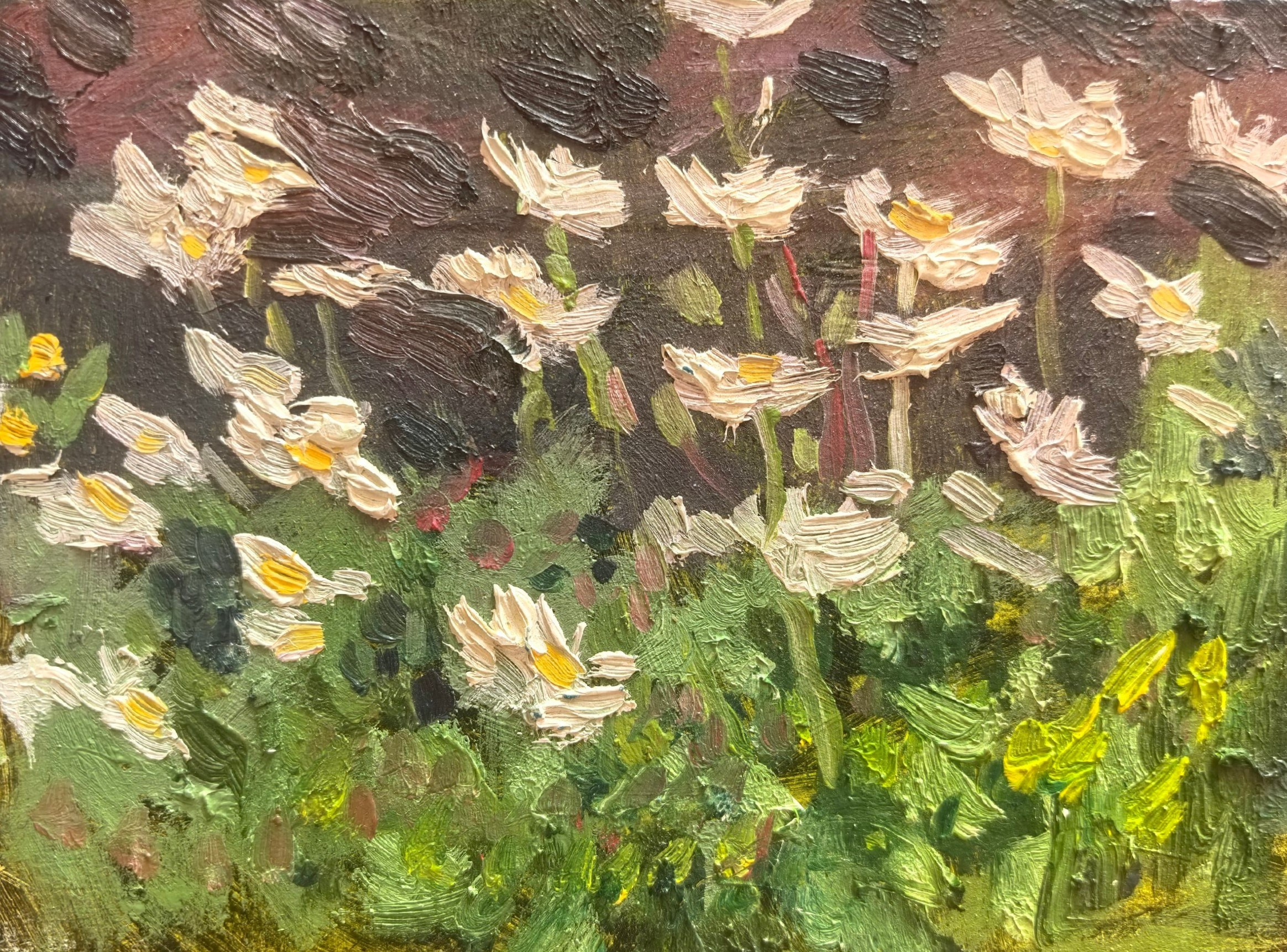 Этюды Камчатка. Художник и гид по Камчатке Евгений Чайкин