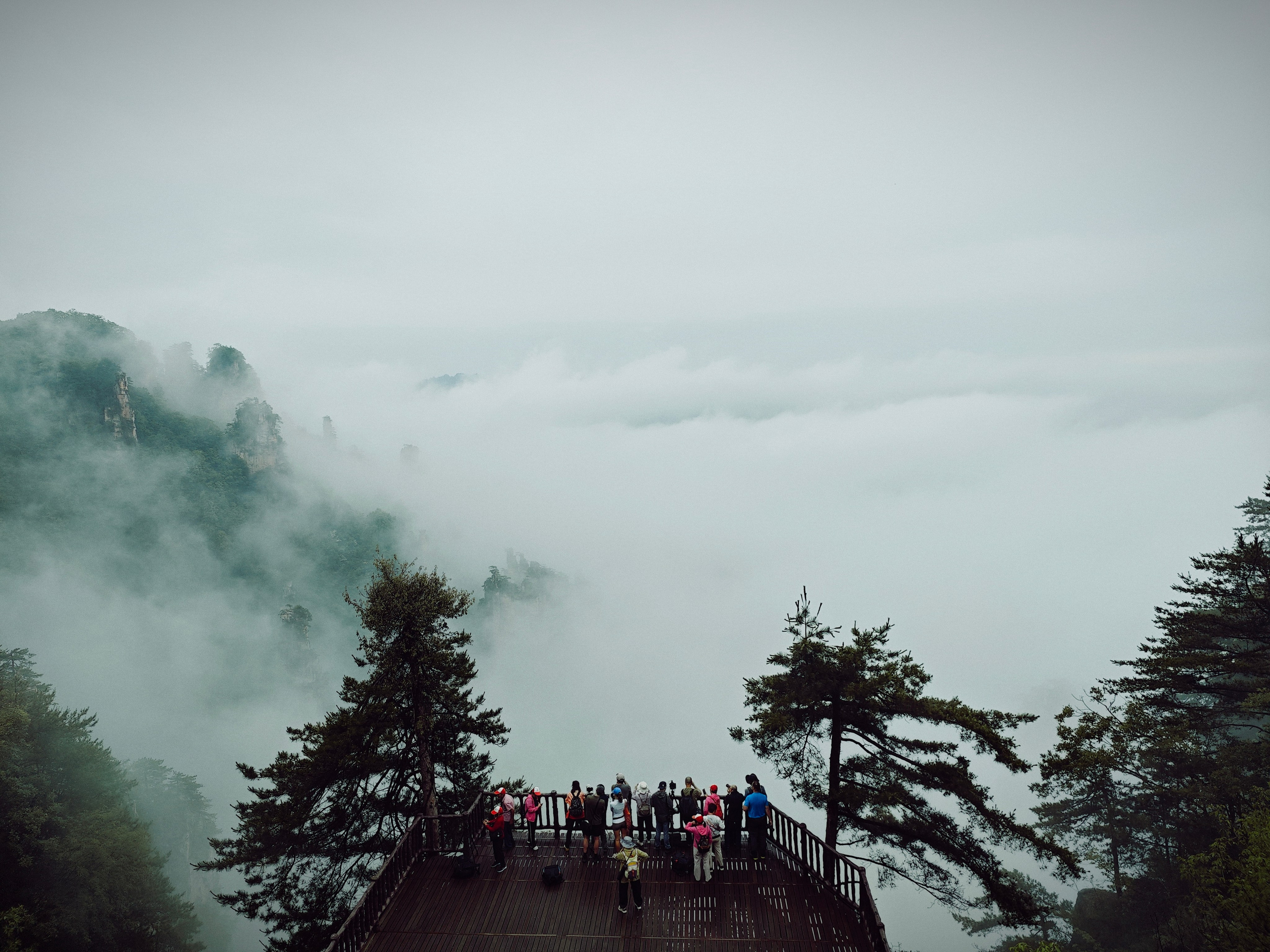 The Great Journey to China. Brjankin.com