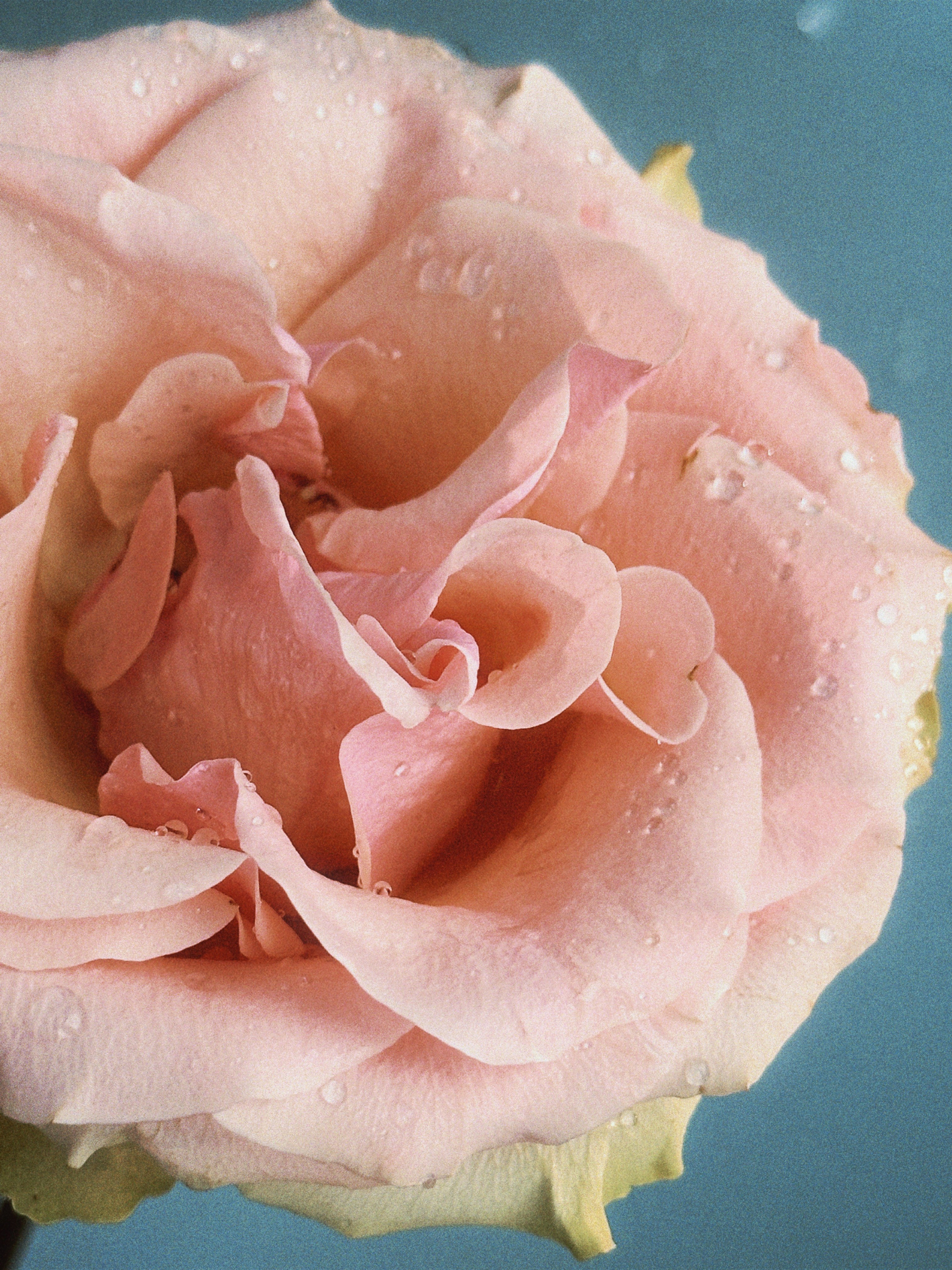 Предметная съёмка. Чувственный мобильный фотограф в Казани и Сочи Дьяченко Дарья