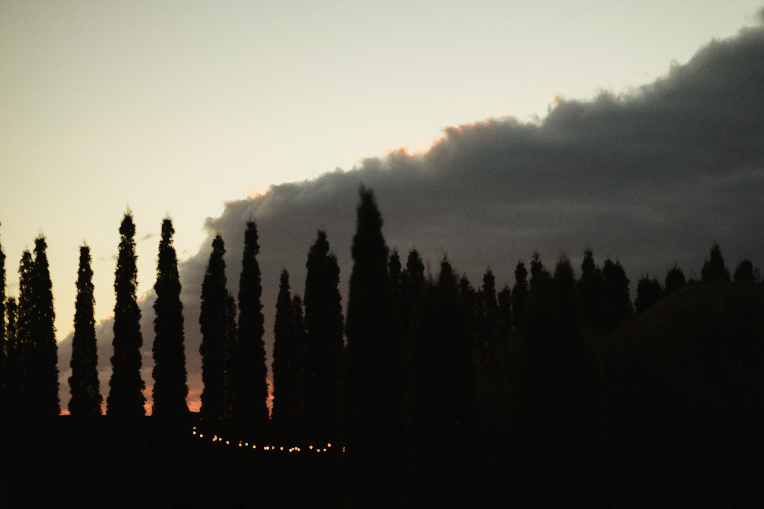 A&I. Свадебный фотограф Лиза Макатович Беларусь Минск