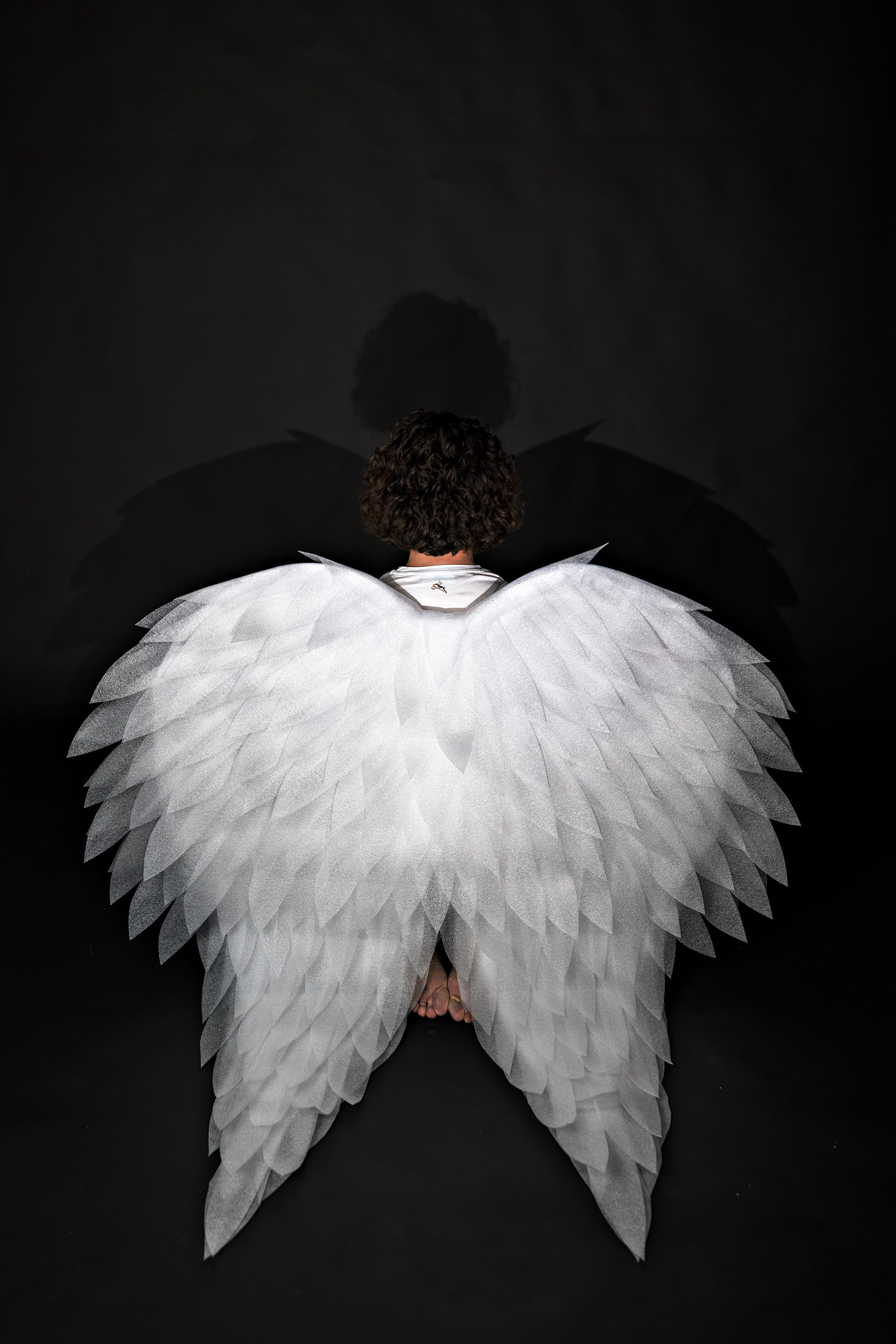 Предисловие. Главная