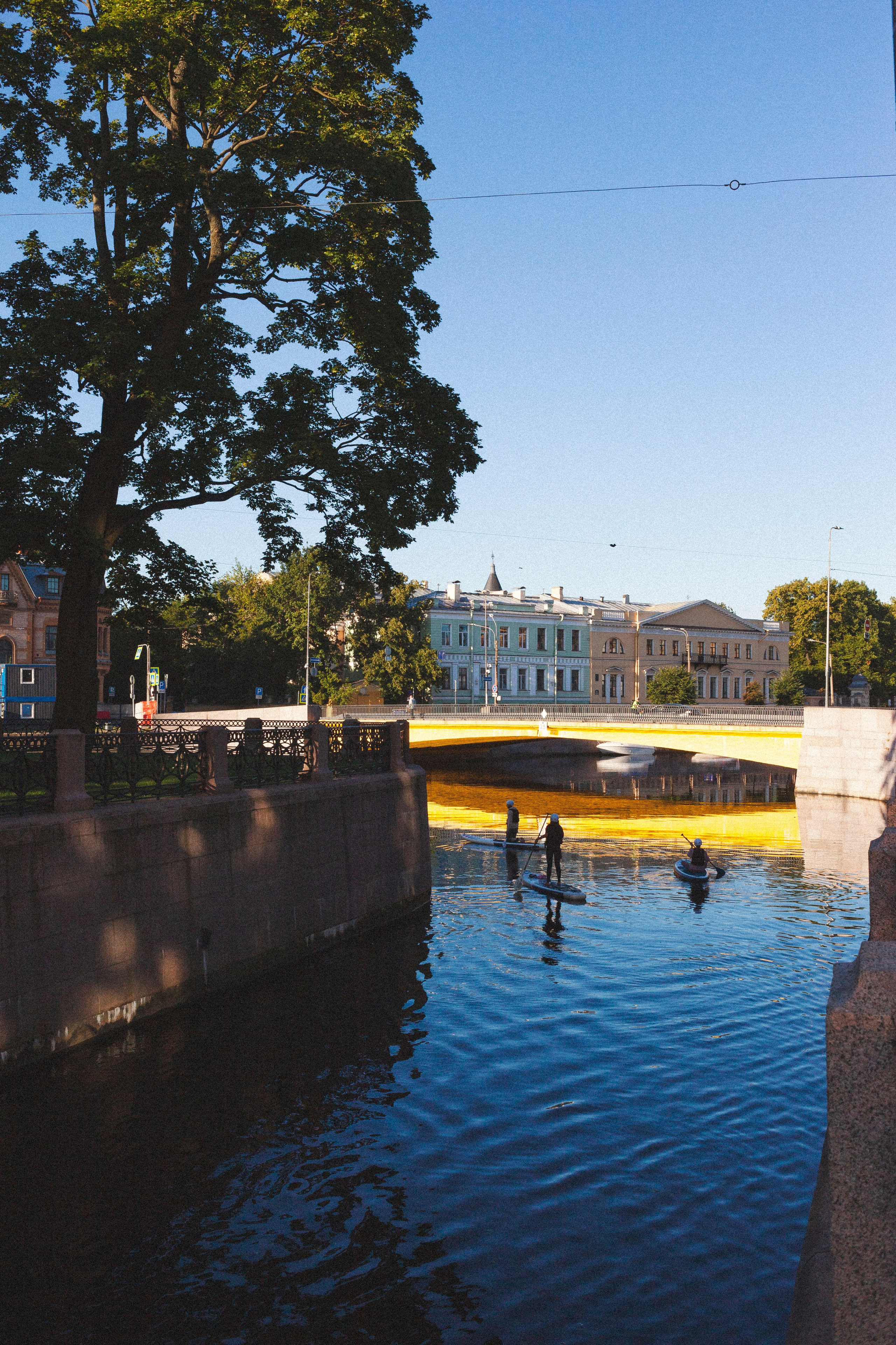 Фотовыставка в Санкт-Петербурге "А где ты гулешь с собачкой, если живешь в центре?"
