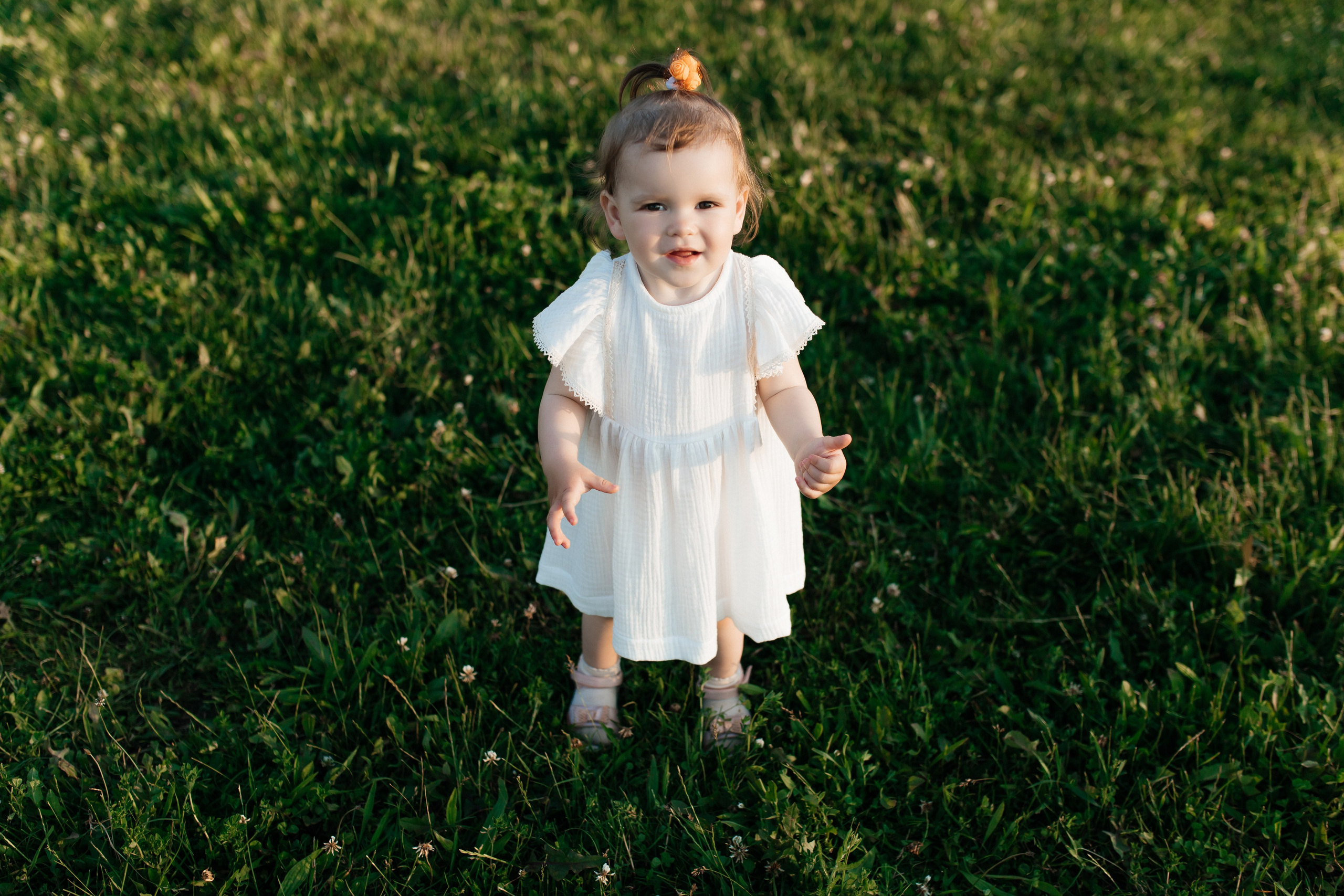 Rose. ФОТОГРАФ