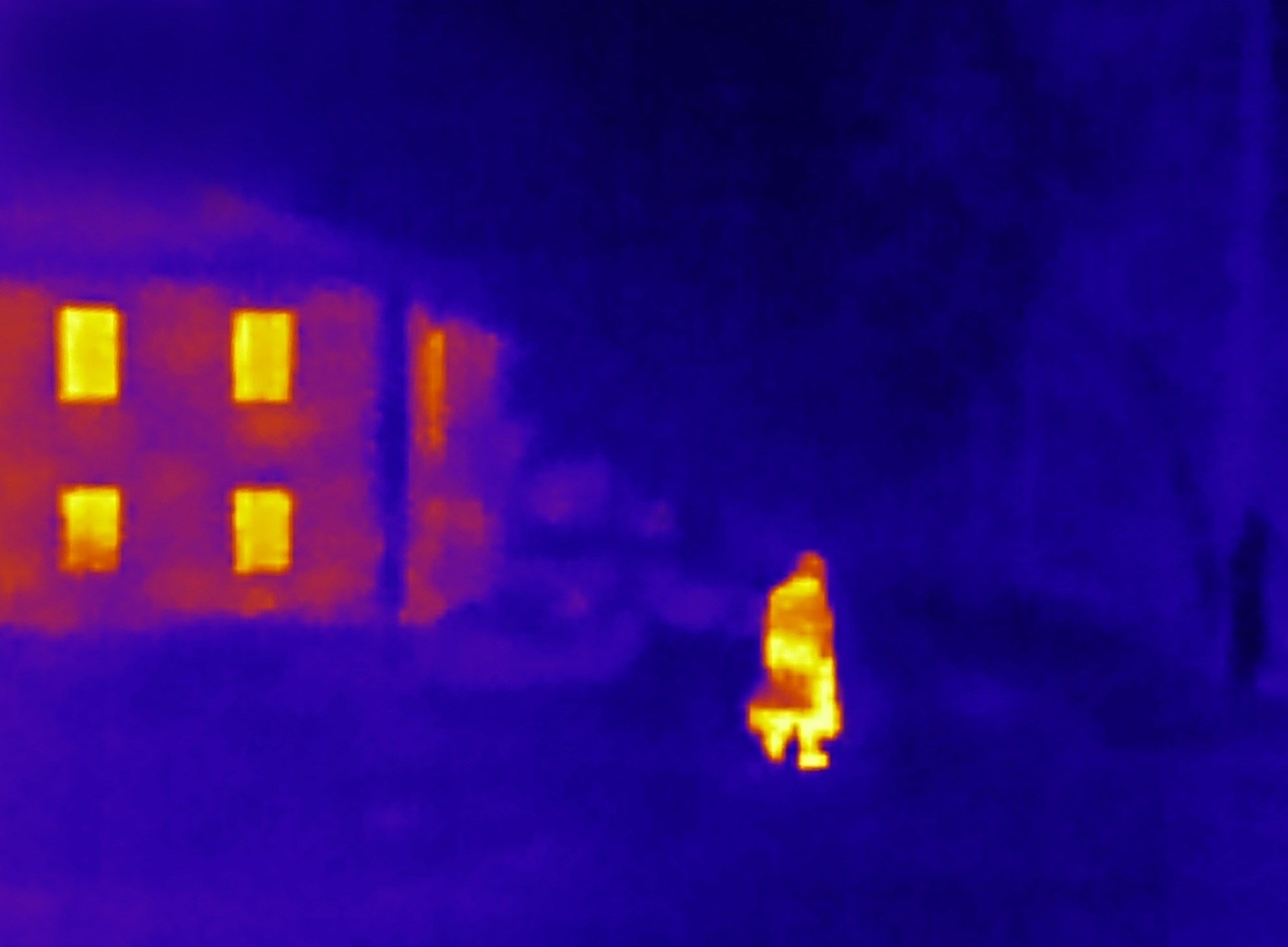 Если б я была удавом / If I were a boa constrictor. Visual artist Olga Burmistrova