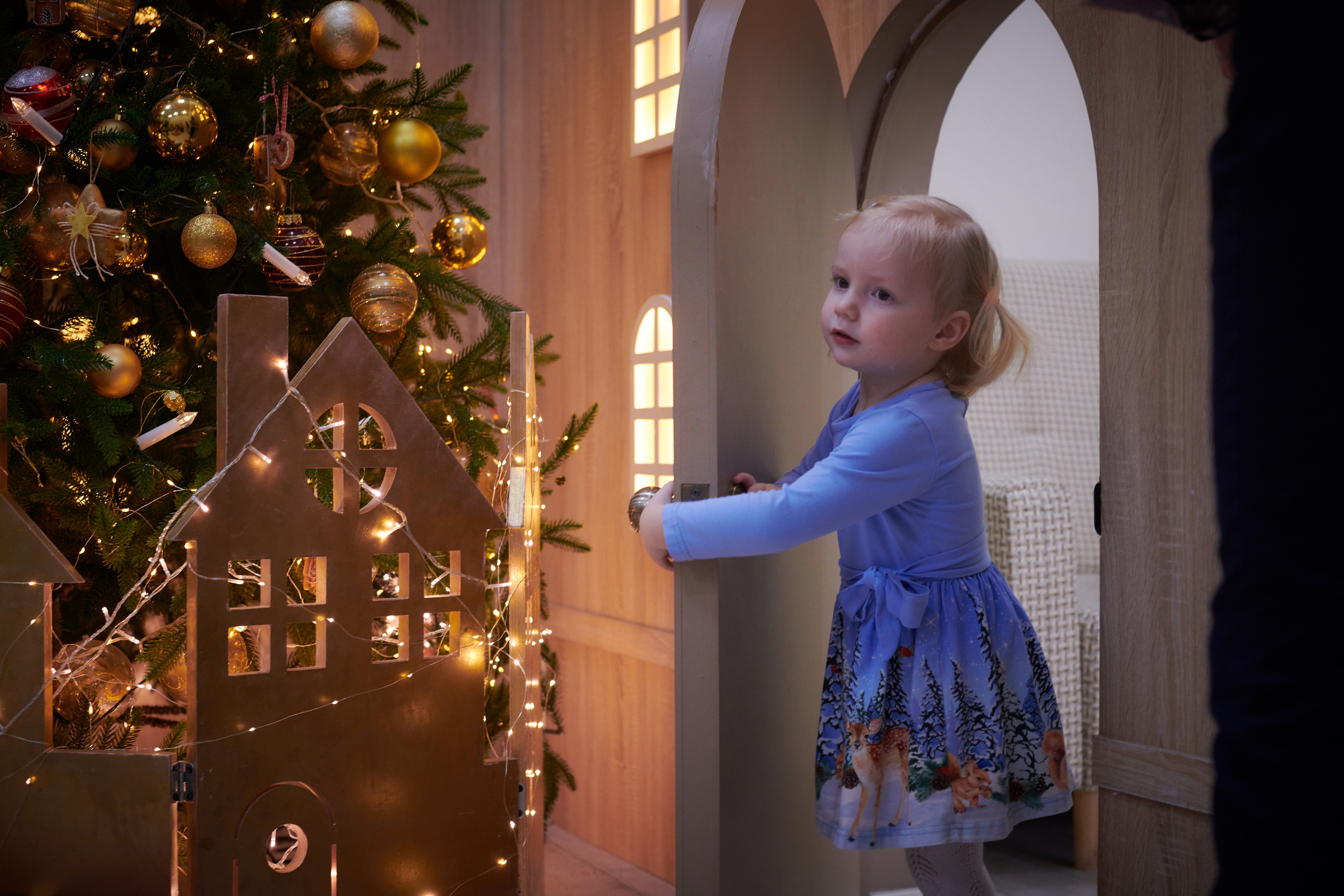 Волшебство Нового Года. Фотограф Мария Оленева