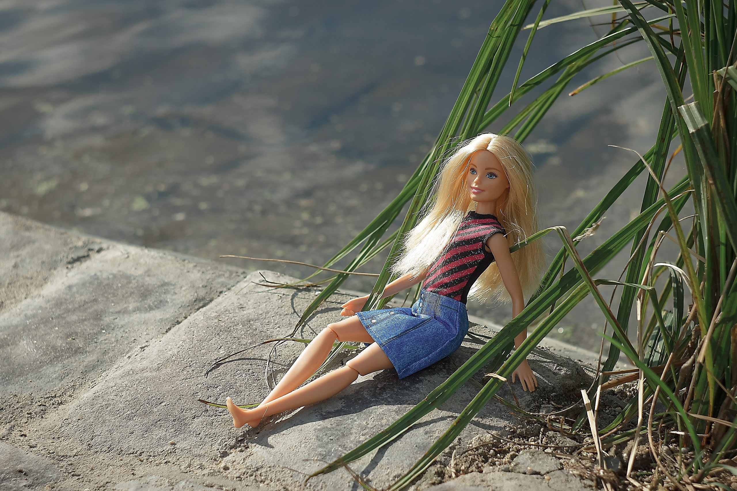 Сказка — Быль. Аmat Victoria Сuram