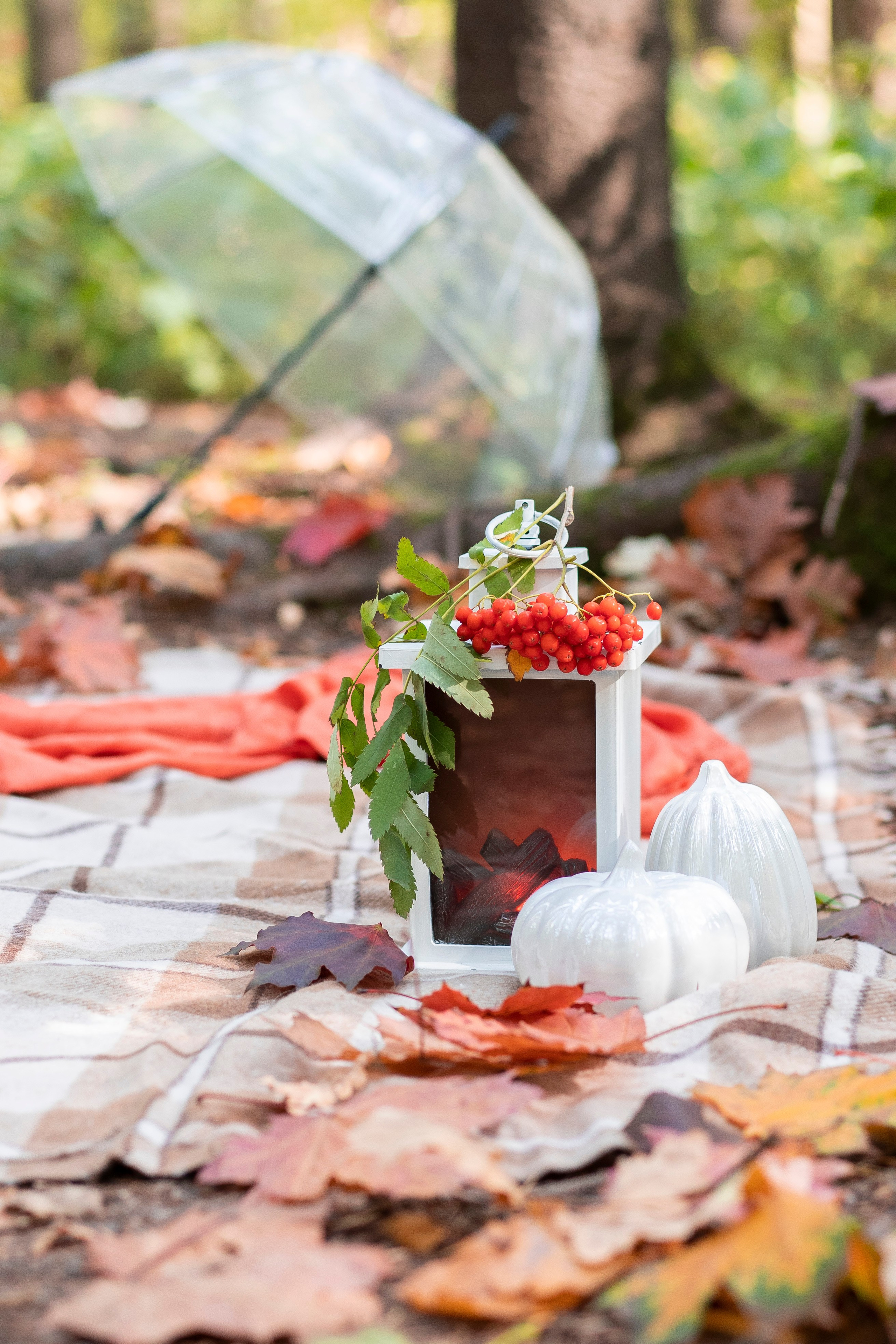 Осень в лесу. Brand photographer