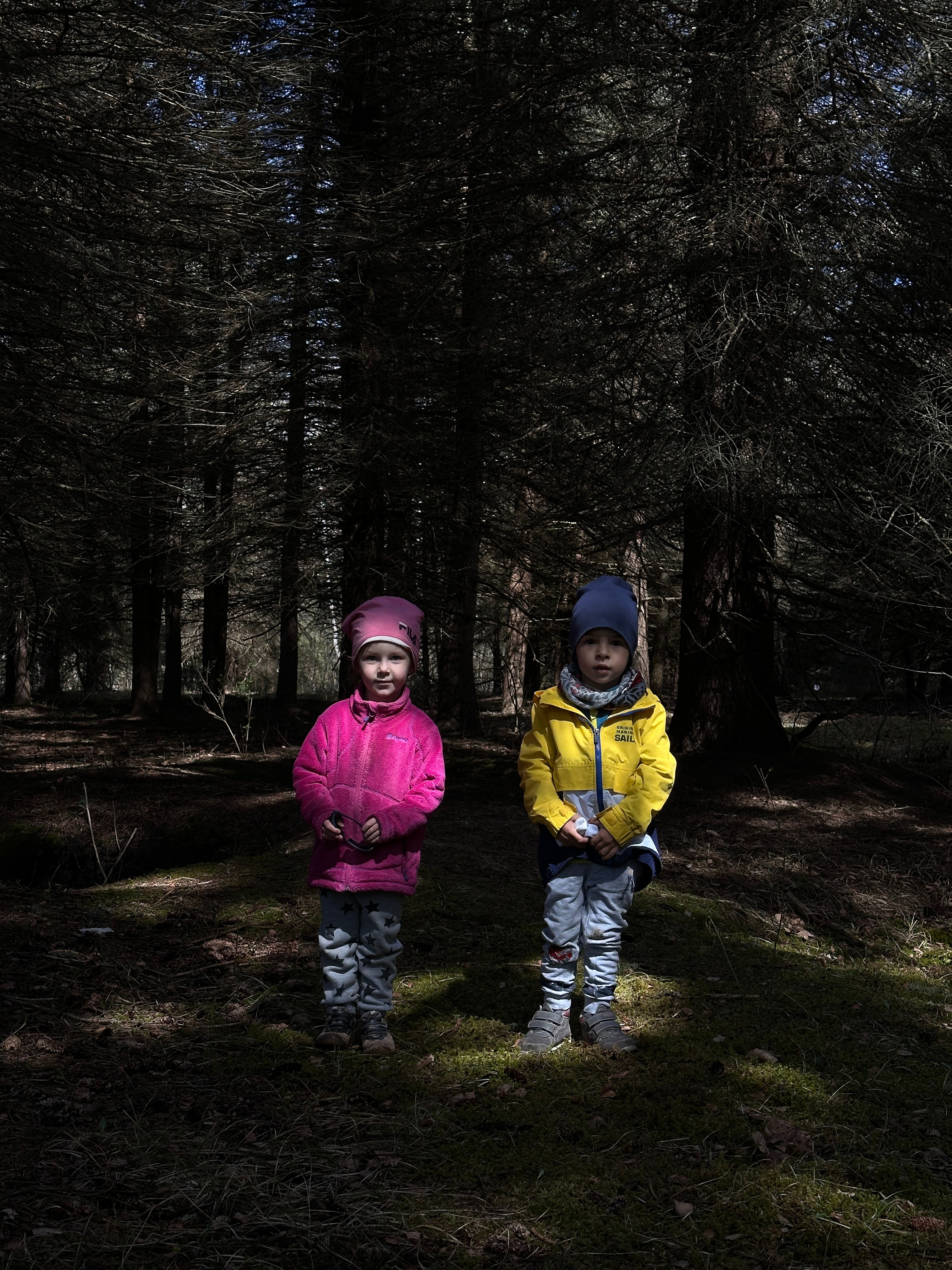 Дети. Смотри, красота!