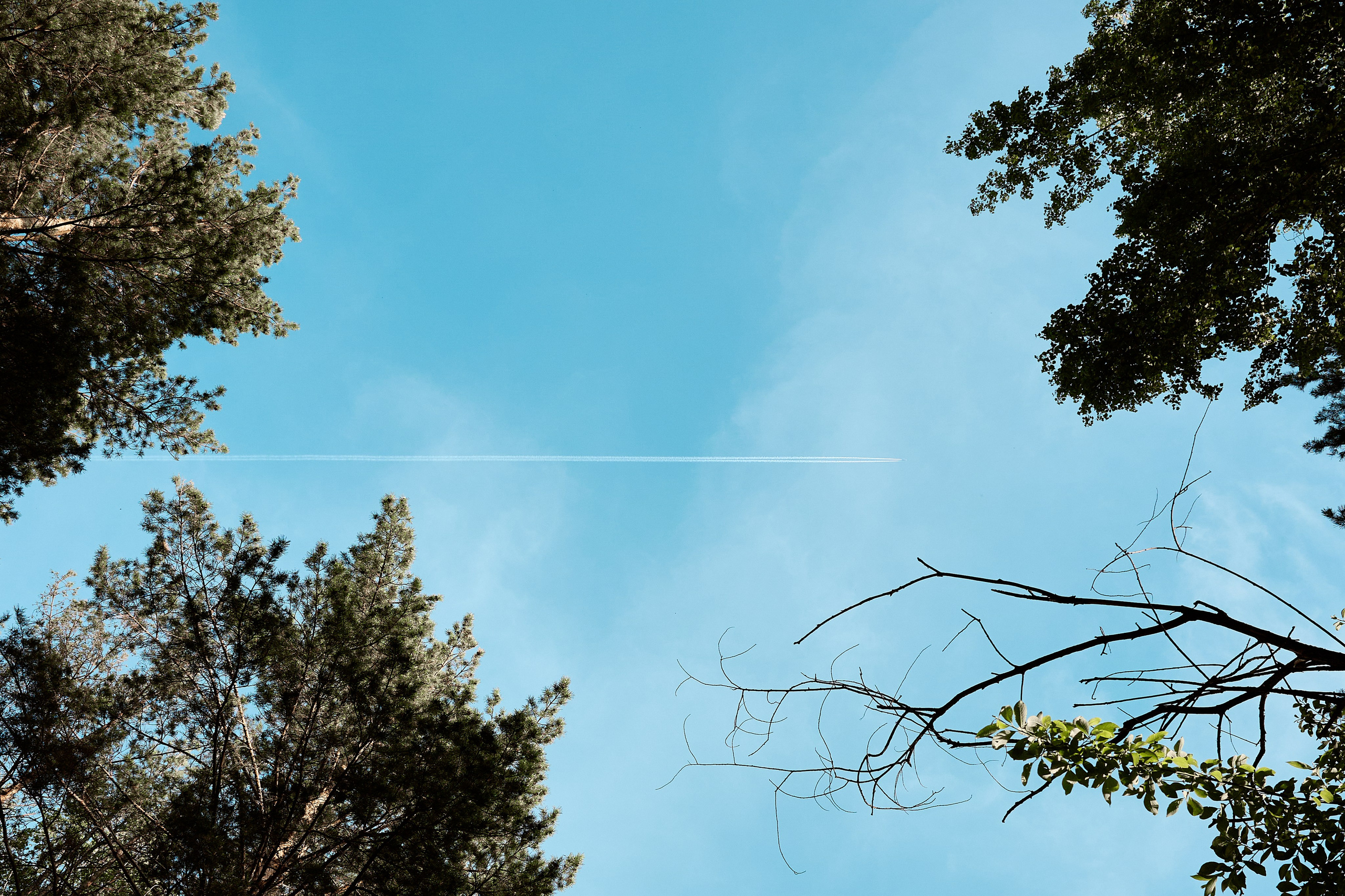 Предметный и репортажный фотограф Алексей Кротов