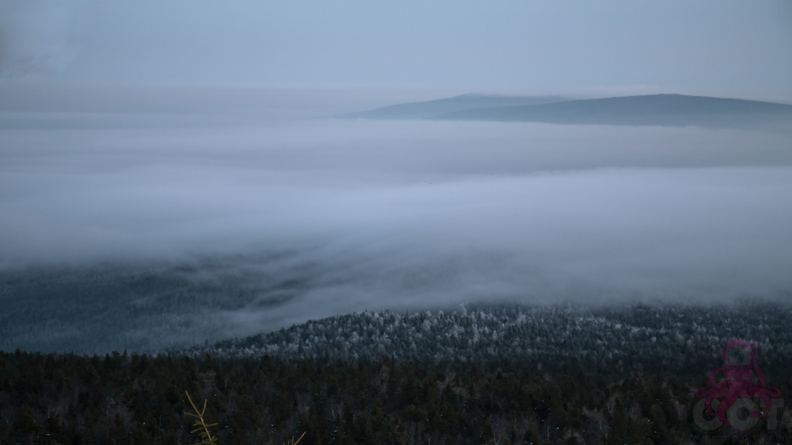 Буддистский монастырь Шад Тчуп Линг. Предметный и репортажный фотограф Алексей Кротов