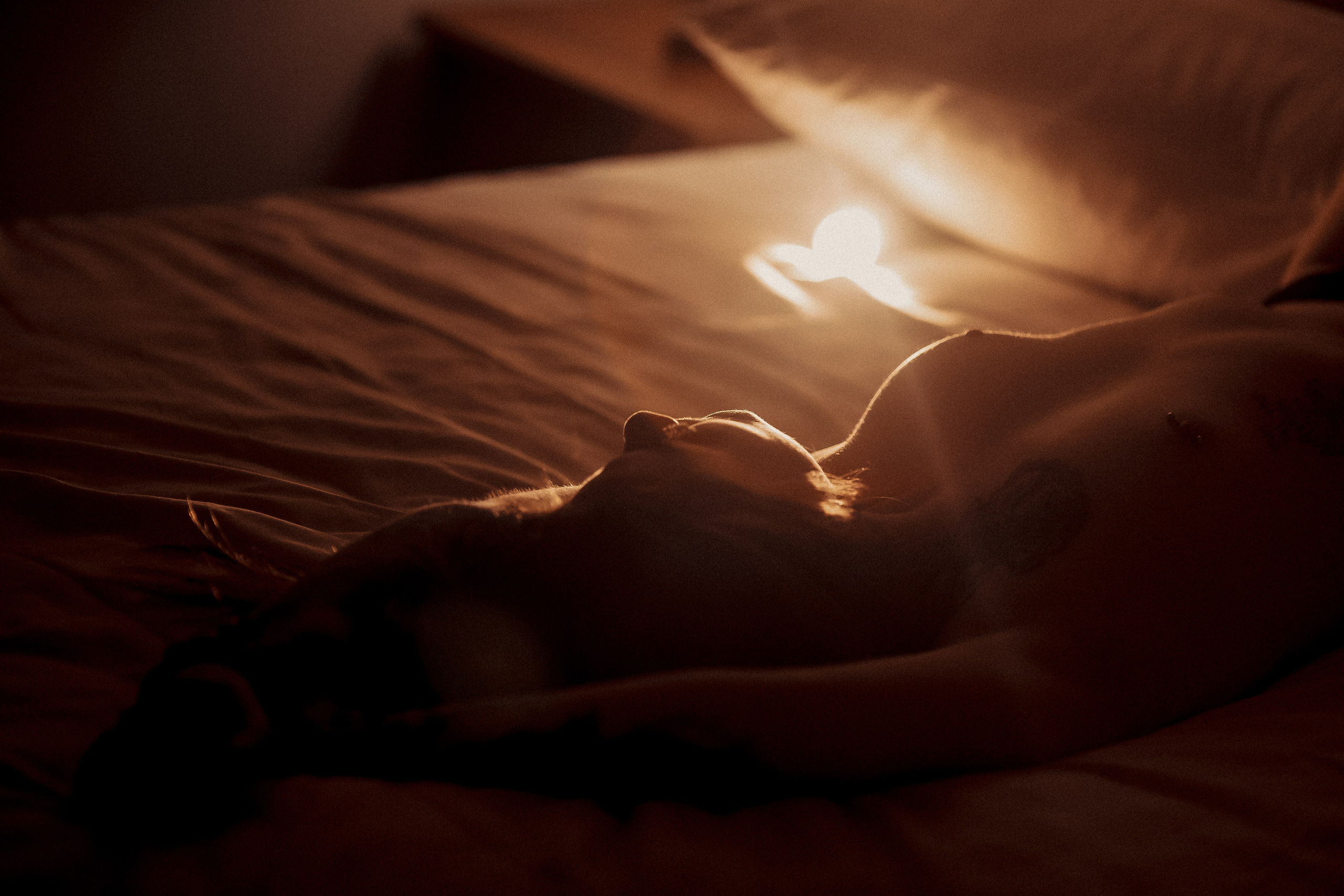 Nude. Портретный фотограф, Славянка