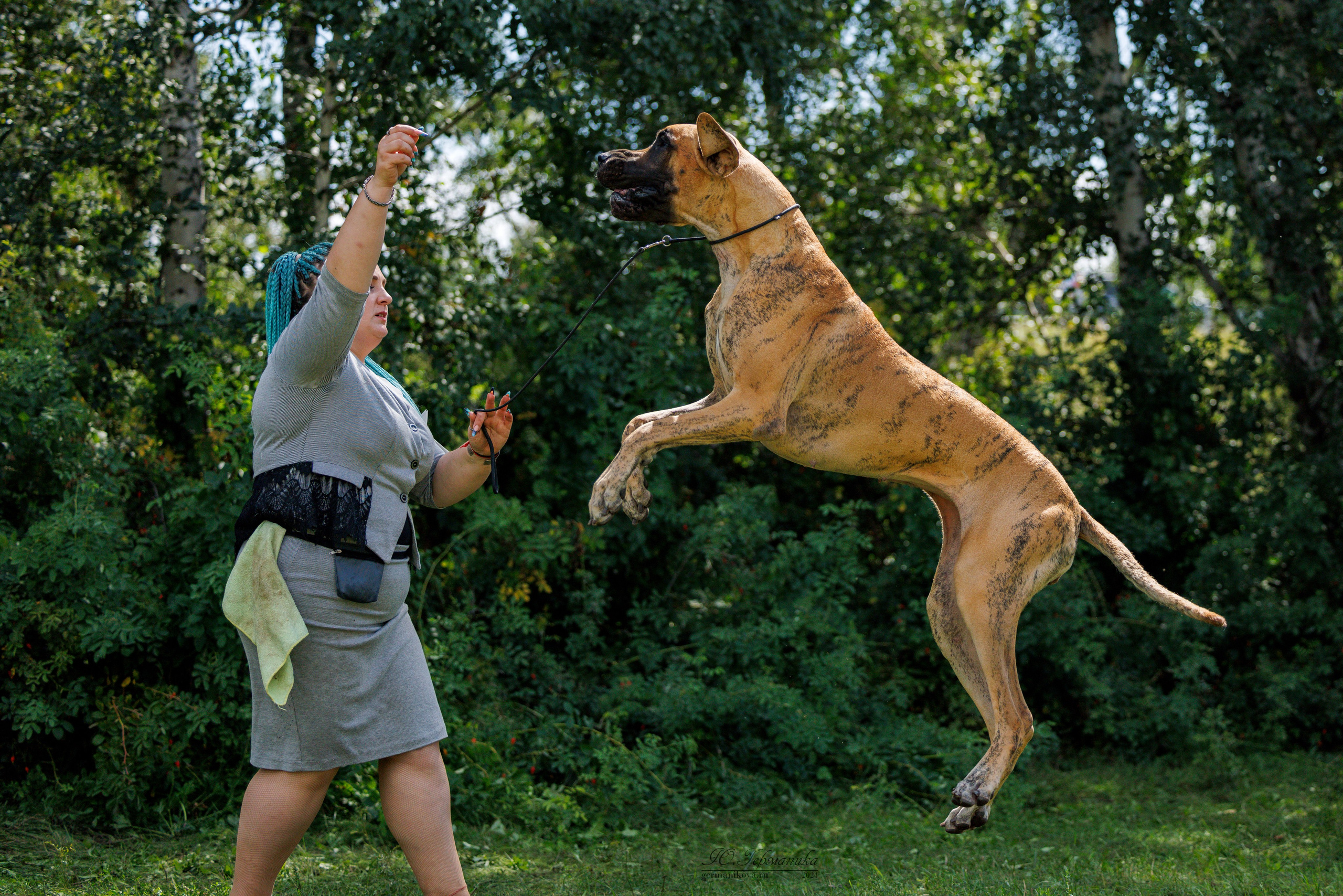 Астана 2хCACIB 17-18.08.2024. Фотограф-анималист Юлия Германика