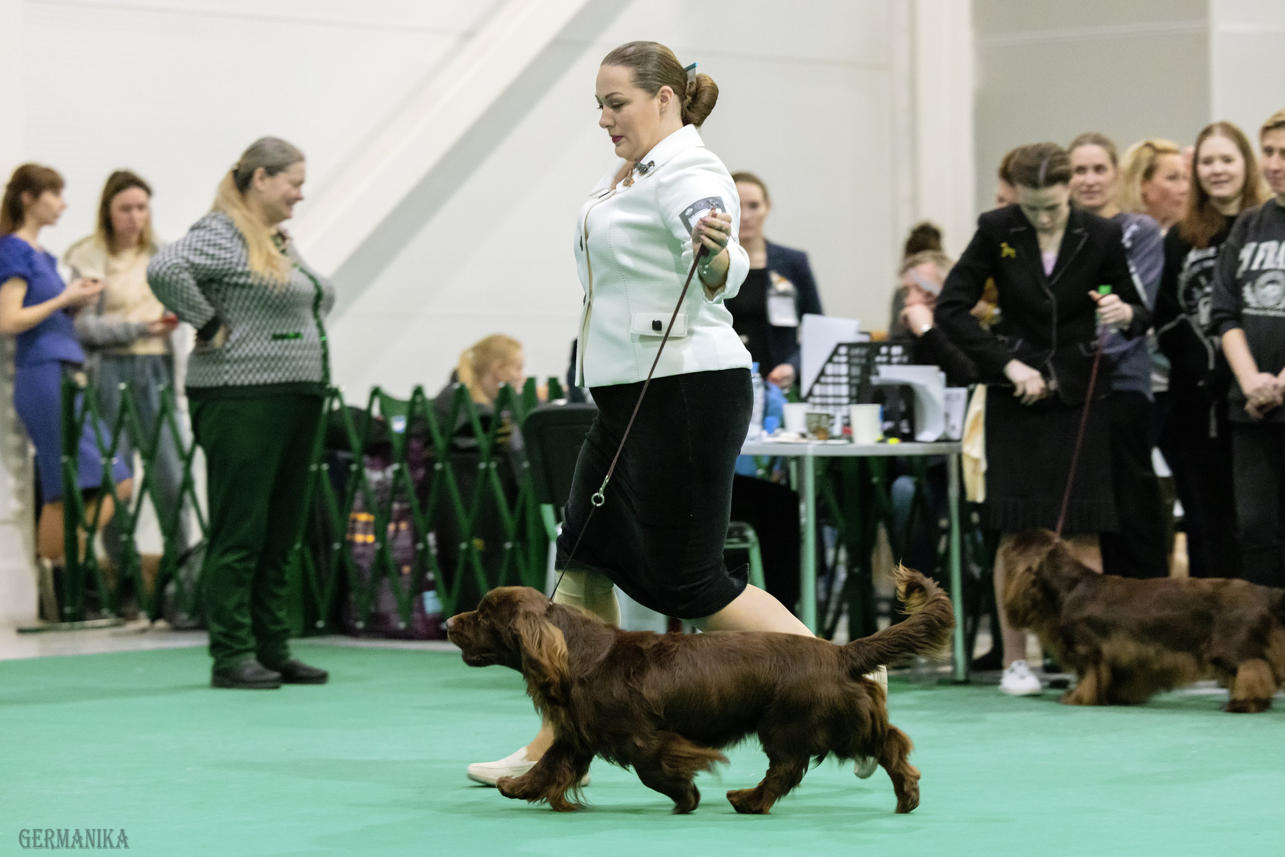 Крокус 10.02,Сфера 11.02.2024. Фотограф-анималист Юлия Германика