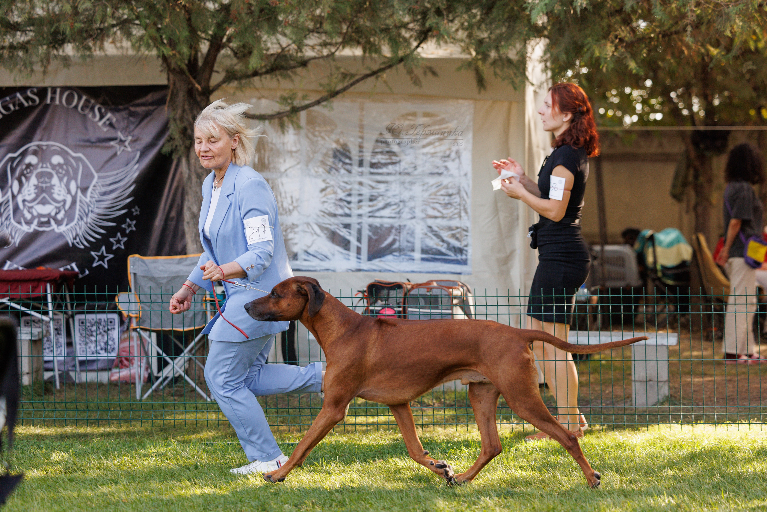 Бишкек 3х CACIB 26-28.09.2025. Фотограф-анималист Юлия Германика