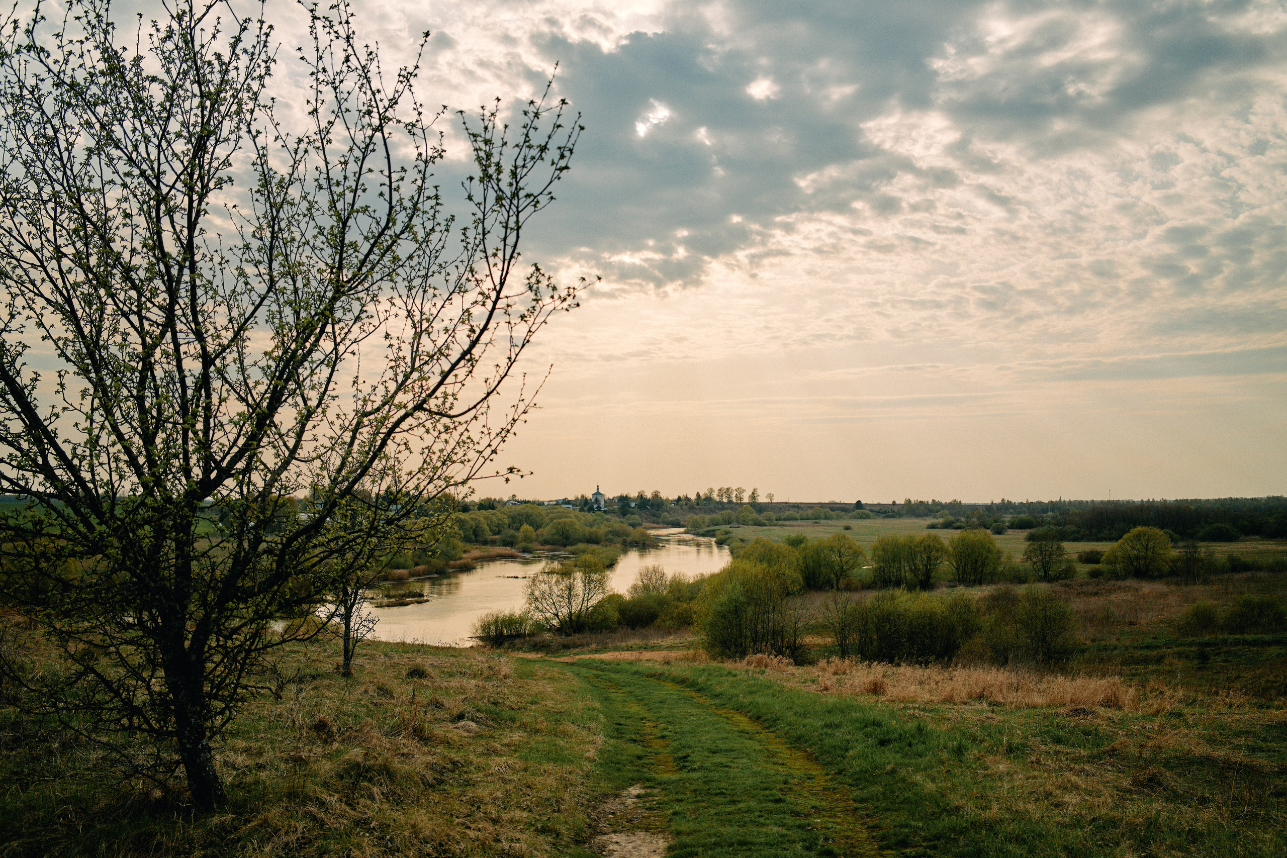 Бутик-отель Поле летом. Профессиональный Фотограф во Владимире, в Москве и в Суздале — Полина Романычева