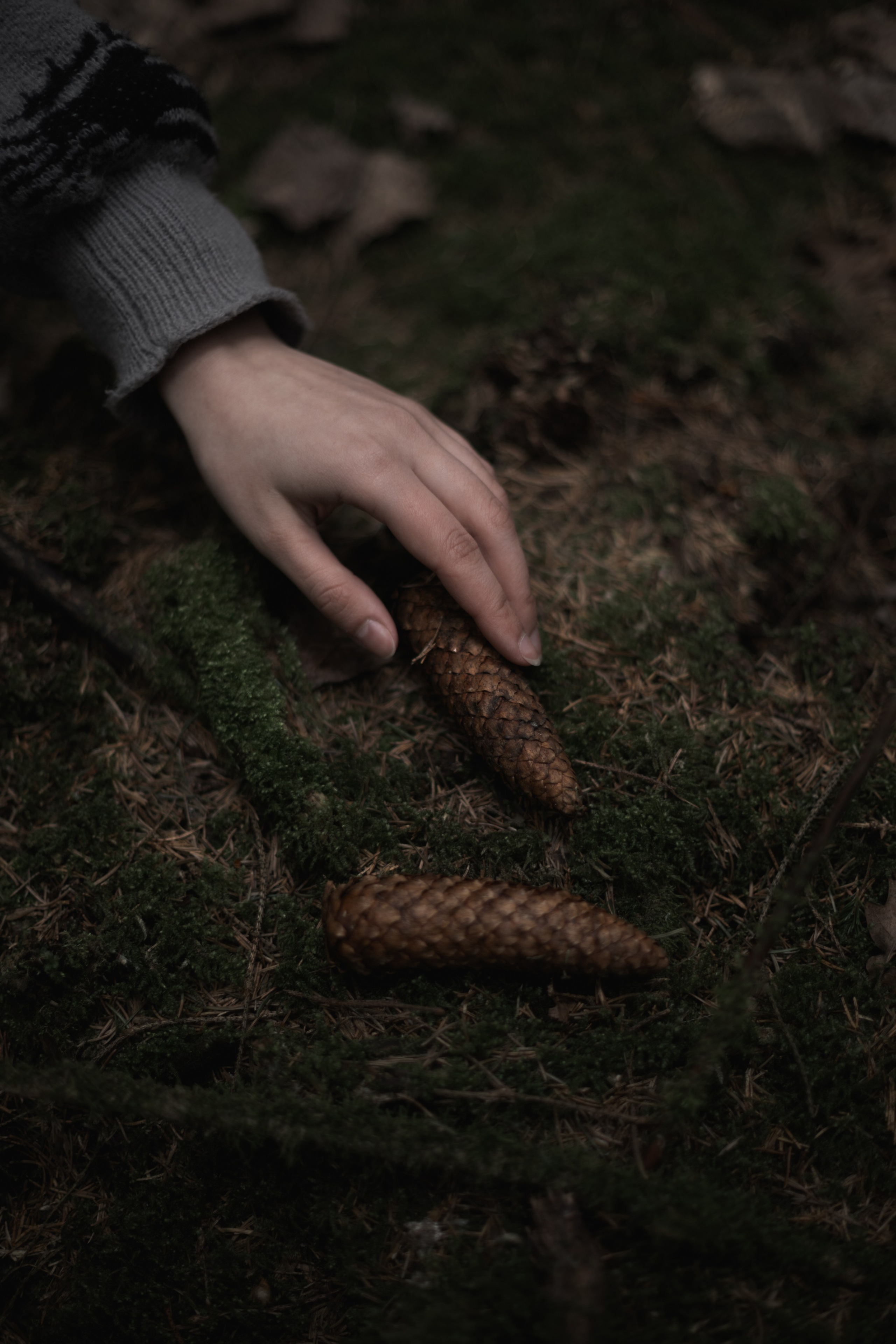 Полина Л — (Лесной массив). — Digital Noise —