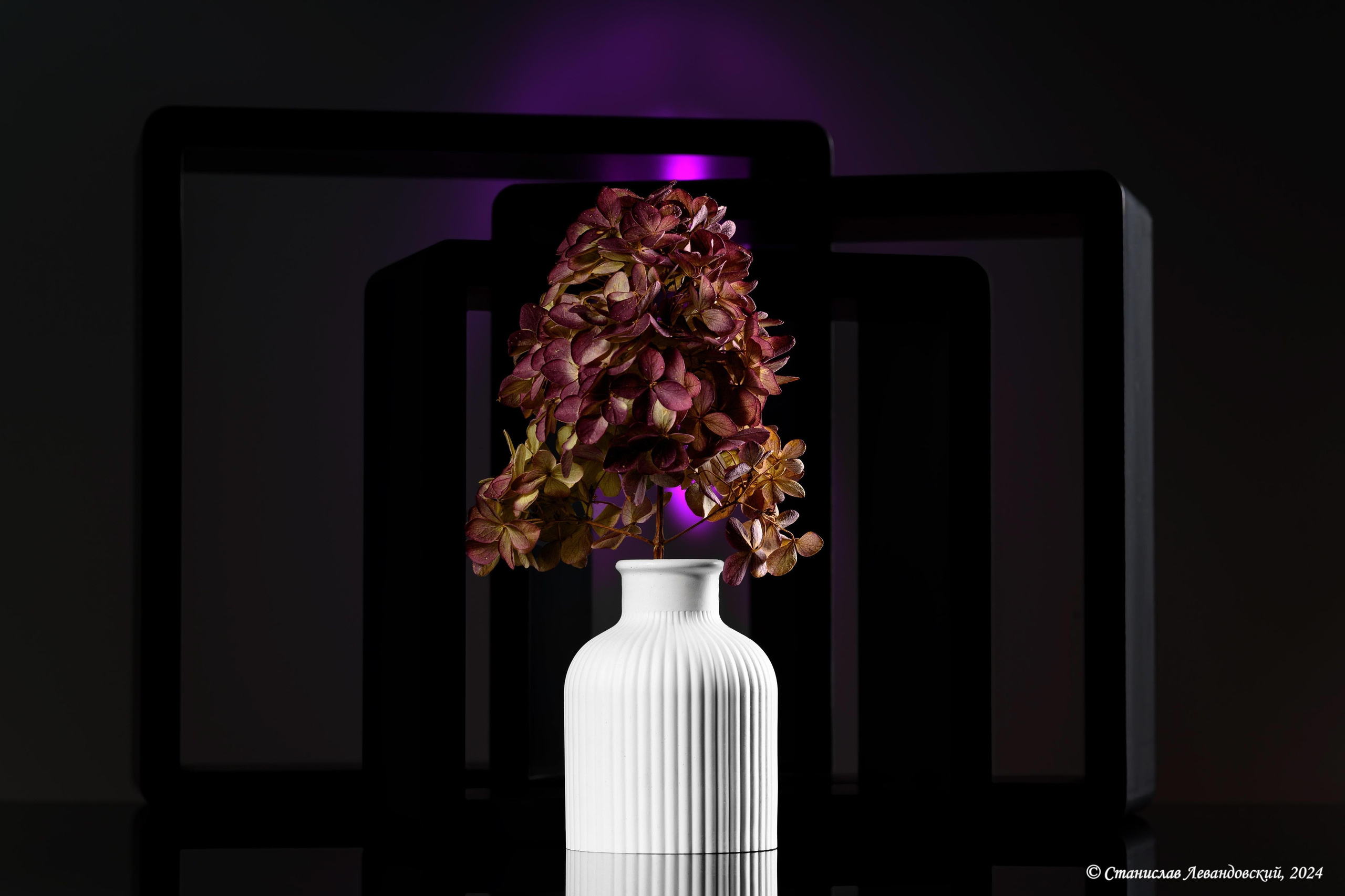 Предметы с матовой поверхностью. Предметный фотограф в Москве Станислав Левандовский