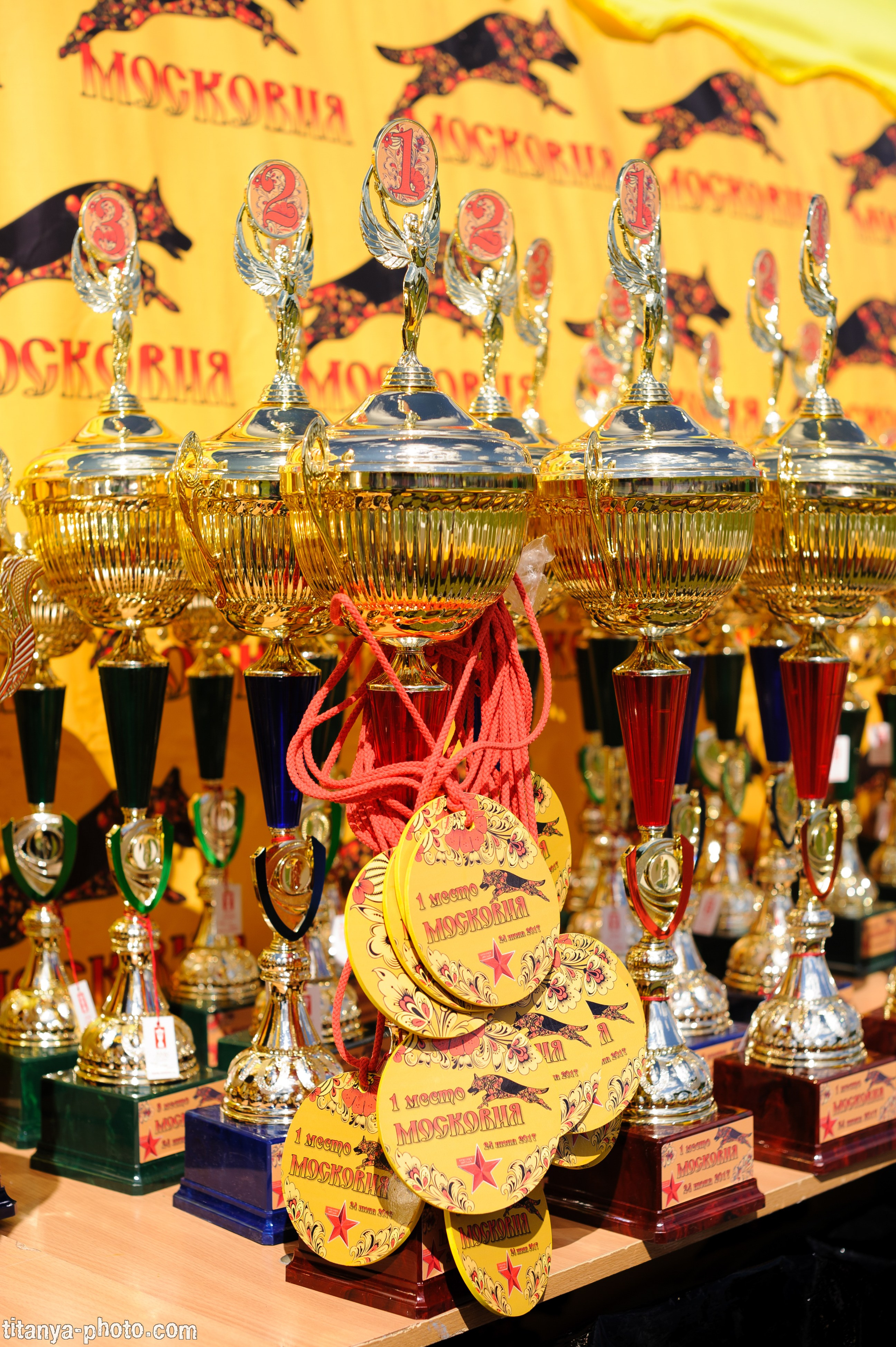 Фотографии с монопородных выставок немецких овчарок. Фотограф собак, фотограф-анималист Аня Титова (Titanya). Москва