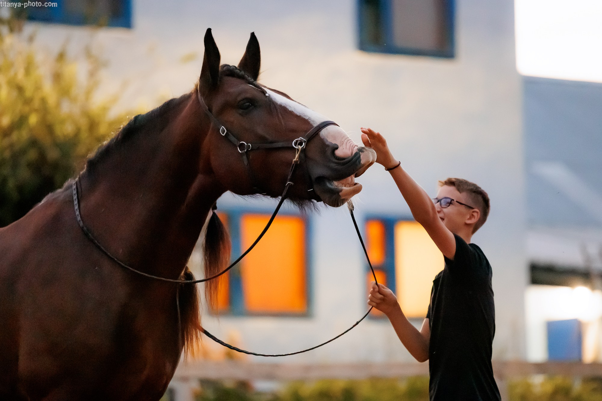 Закатная семейная фотосессия: про Настю и её дружную семью. Фотограф собак, фотограф-анималист Аня Титова (Titanya). Москва