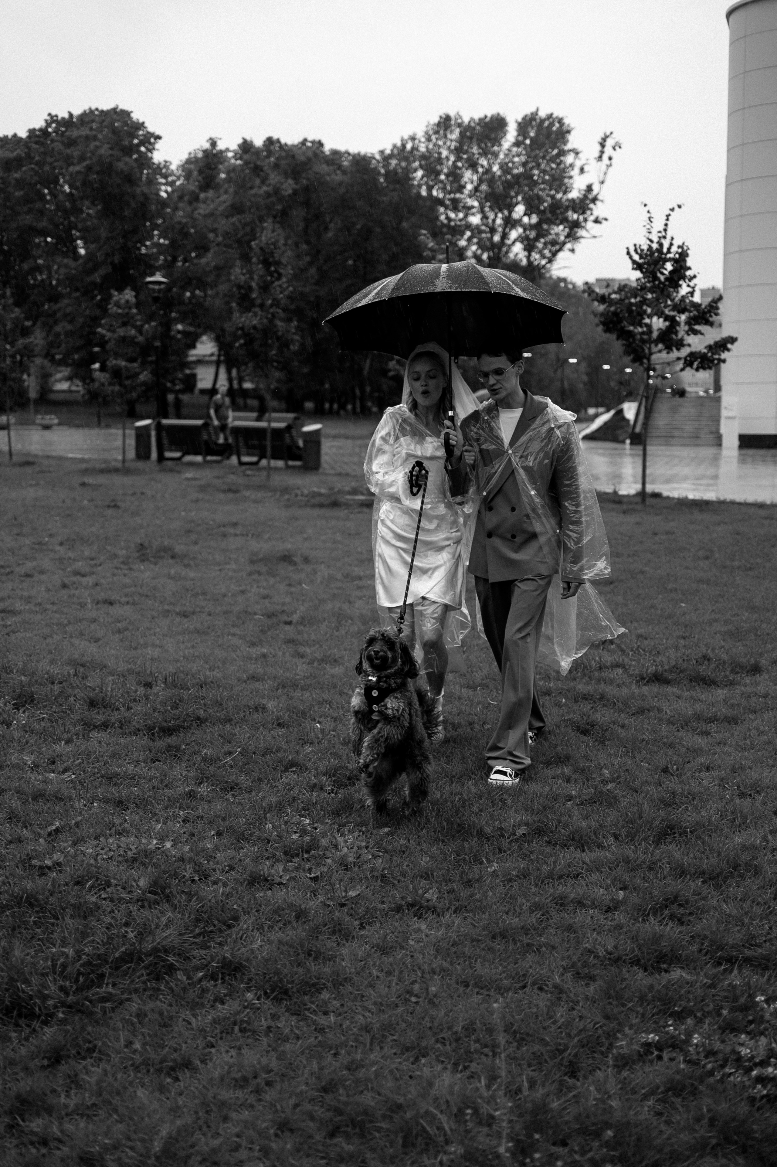 Александра и Дмитрий. Свадебный фотограф Москва и Санкт-Петербург. Анастасия Чудина