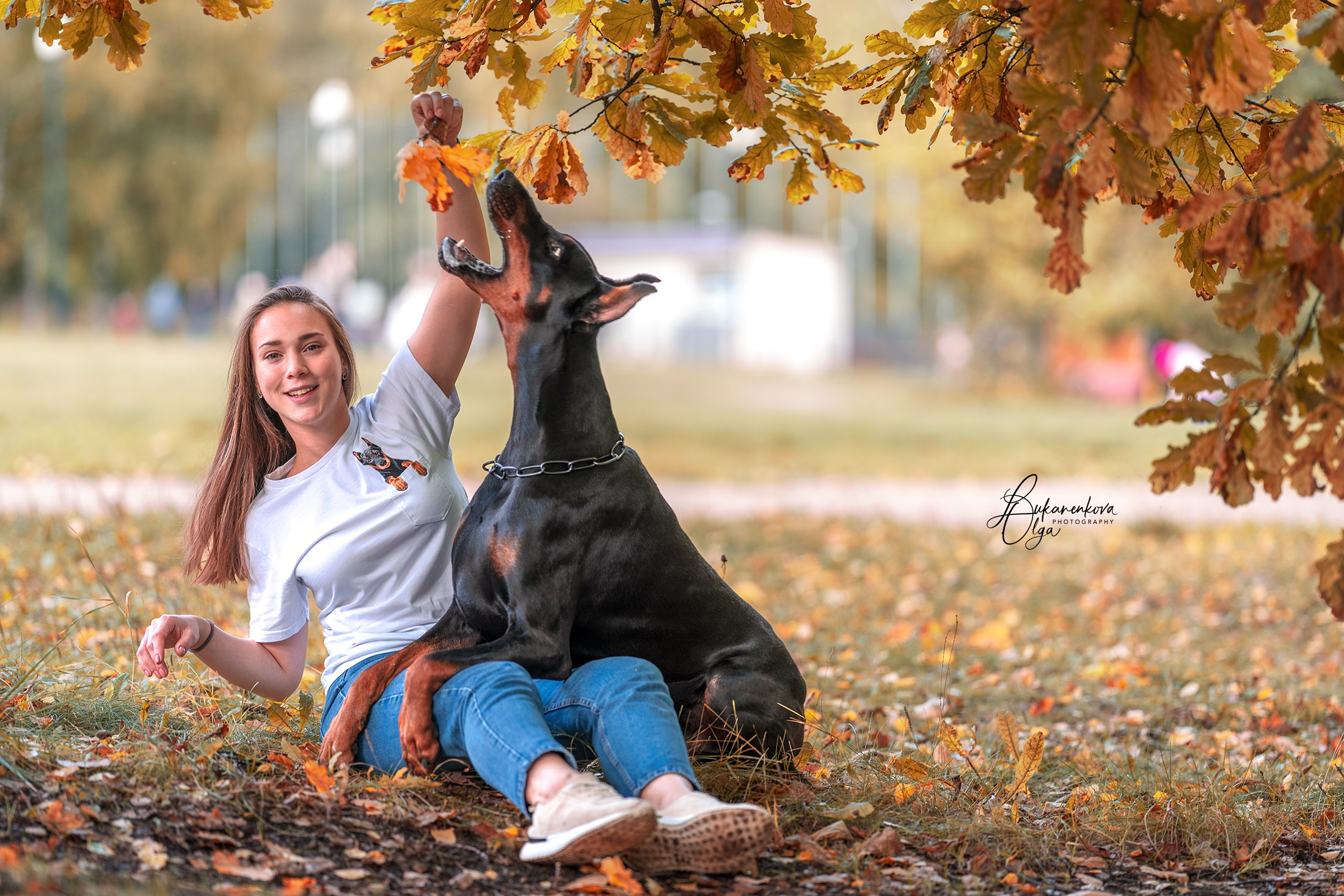 Осенняя рапсодия. Фотограф анималист Ольга Луканенкова в Москве