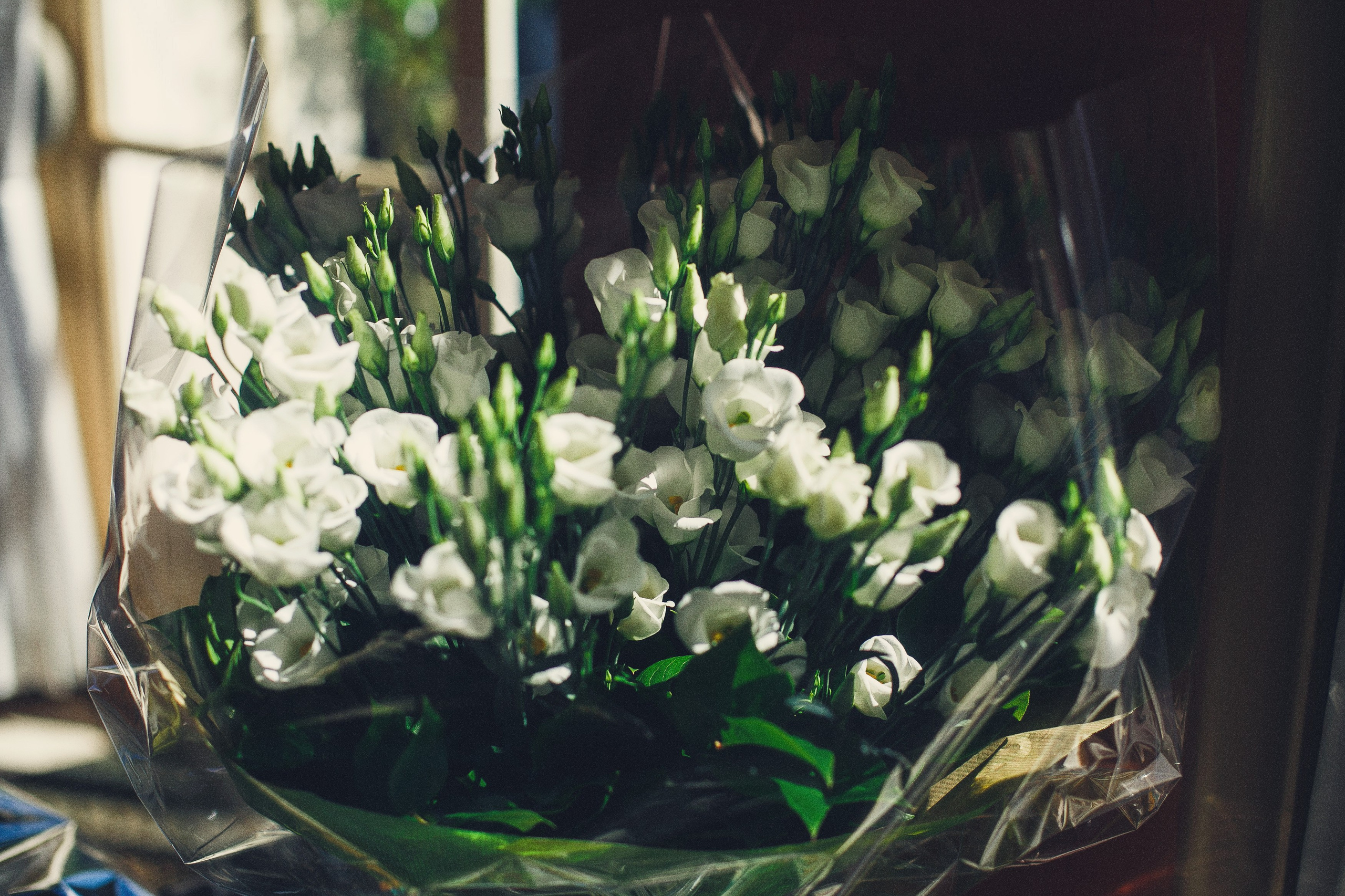 Свадьба Катерины. Татьяна Фомичева. Репортажный и светский фотограф в Москве