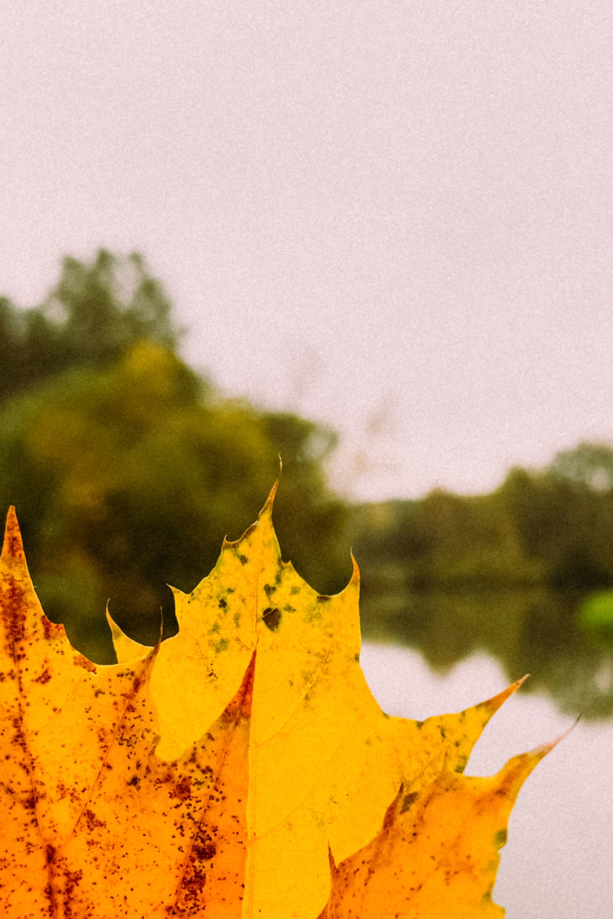 Природа. Команда фотографов Кристины Ивановой