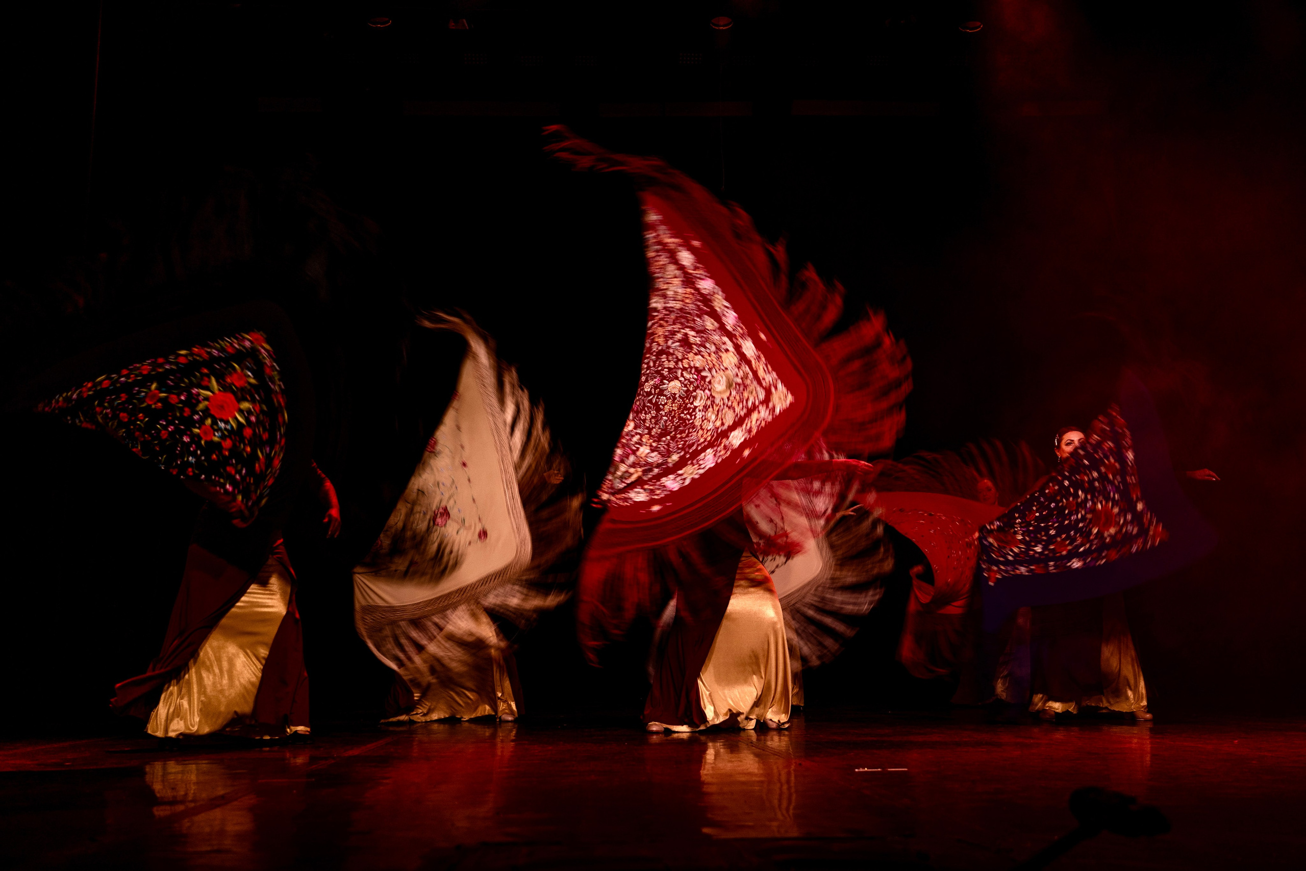 Фламенко. Фотограф-эстет