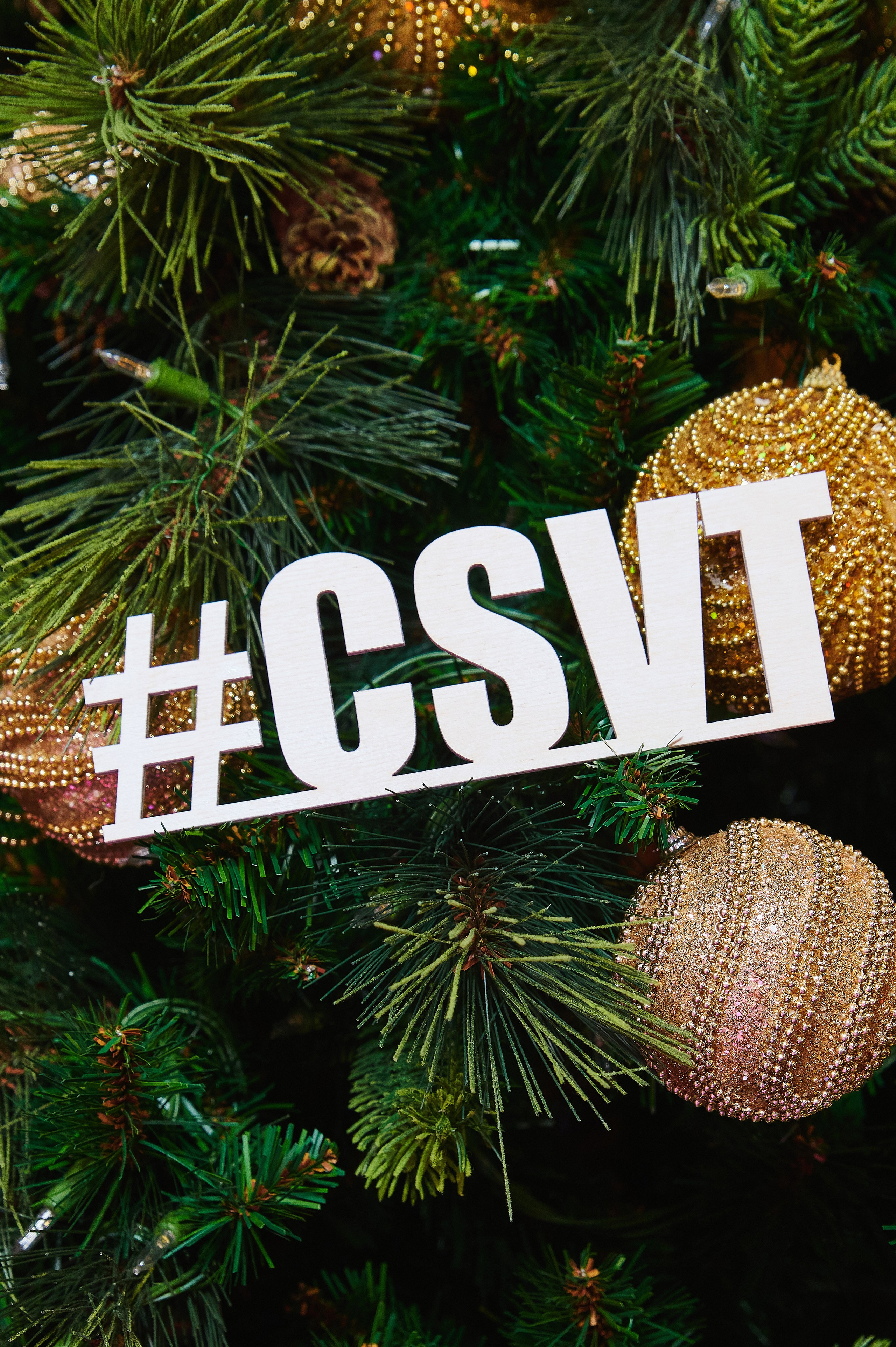 Корпоратив CSVT — 2023. Goganaft.ru — Репортажный фотограф в Москве Георгий Коненков