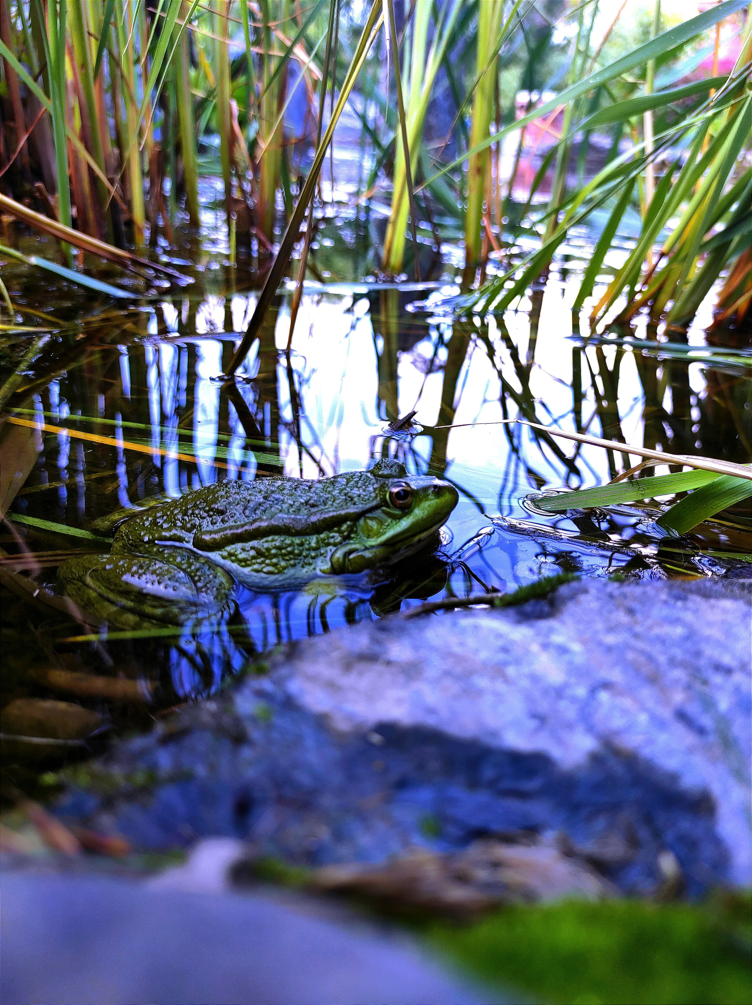 Вдохновение. Бутакова Елена фотограф в Екатеринбурге