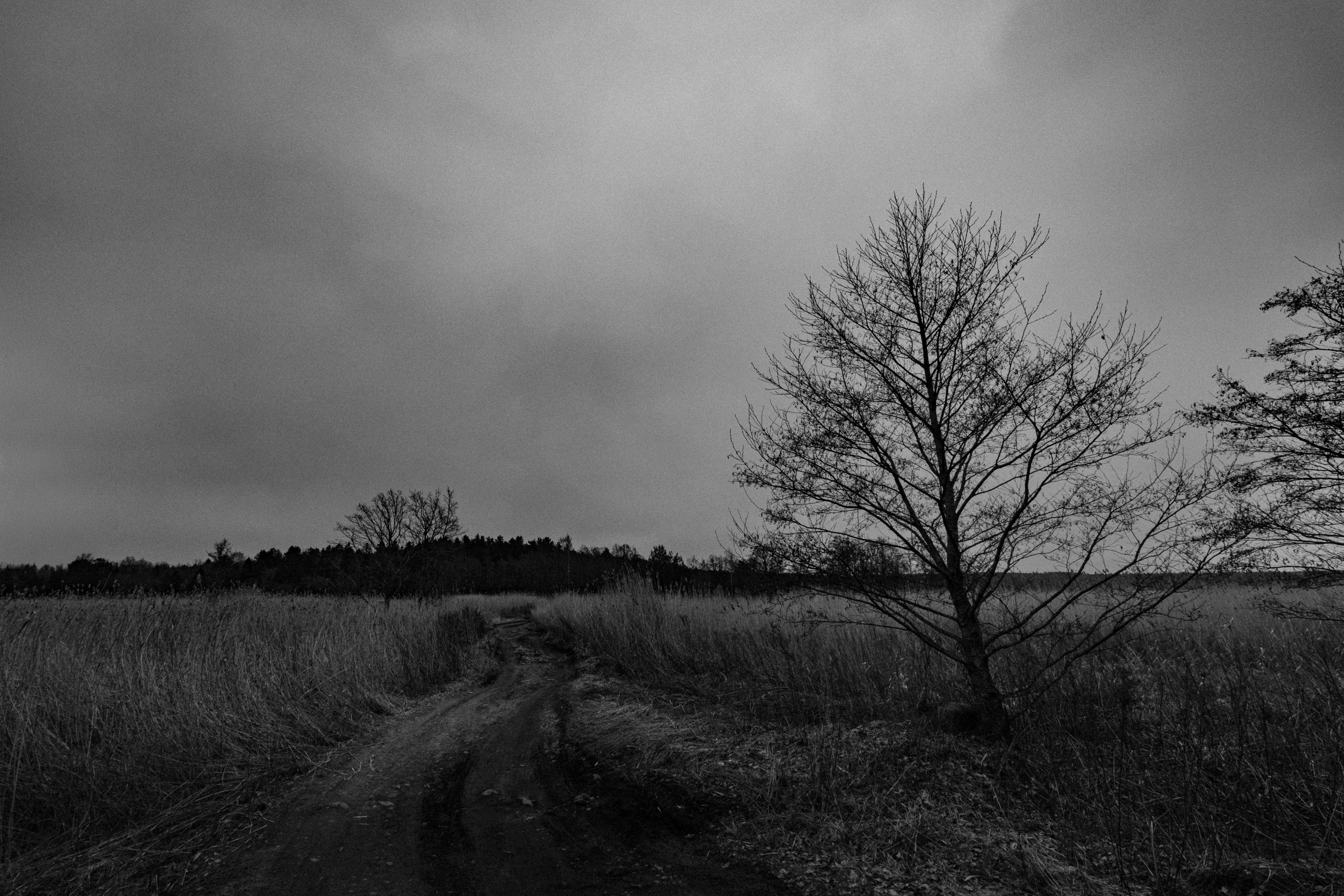 Пейзаж. Портретный фотограф Виктор Льерена