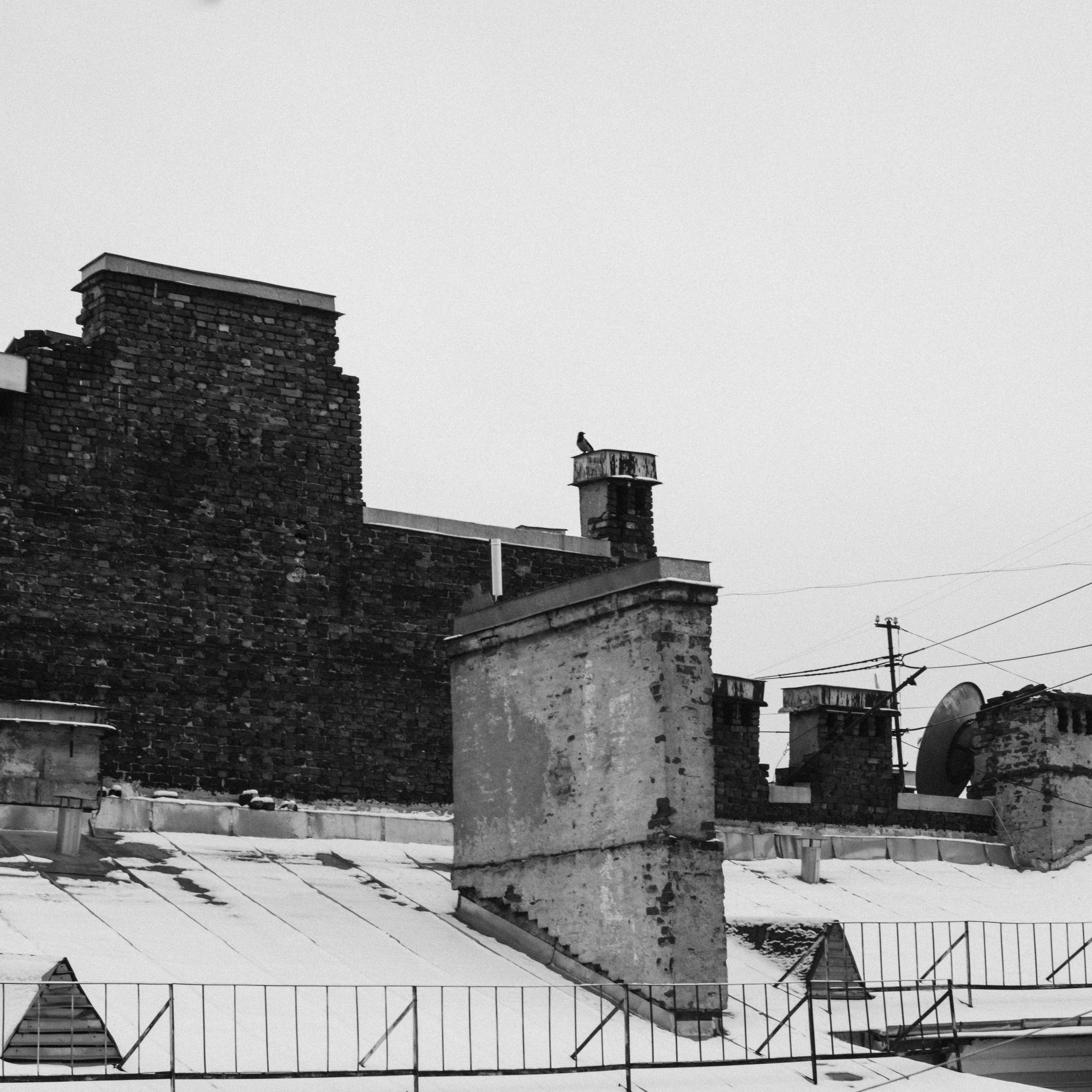 Стрит. Портретный фотограф Виктор Льерена