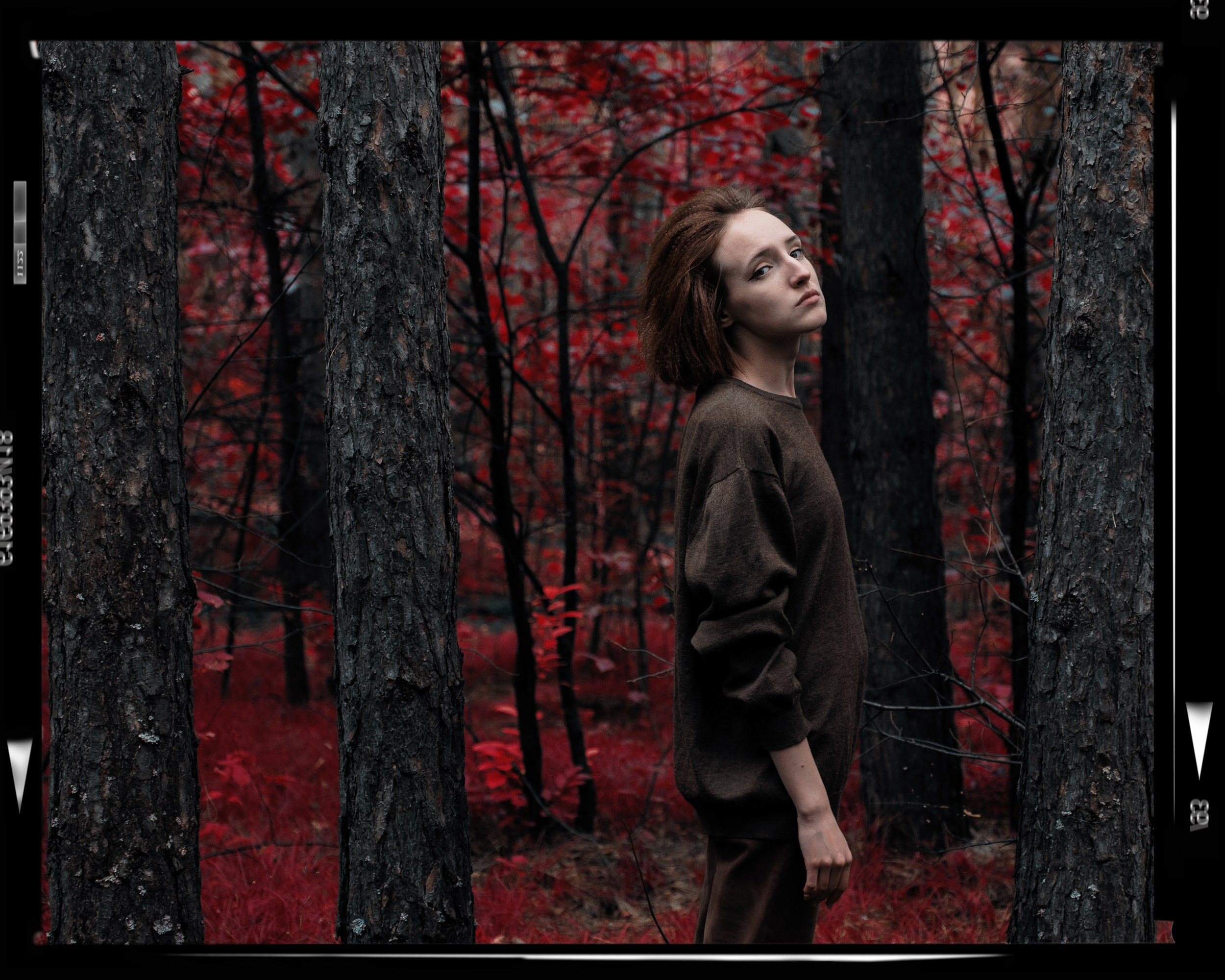 Алёна. Фотограф в Санкт-Петербурге Пономаренко Даниил