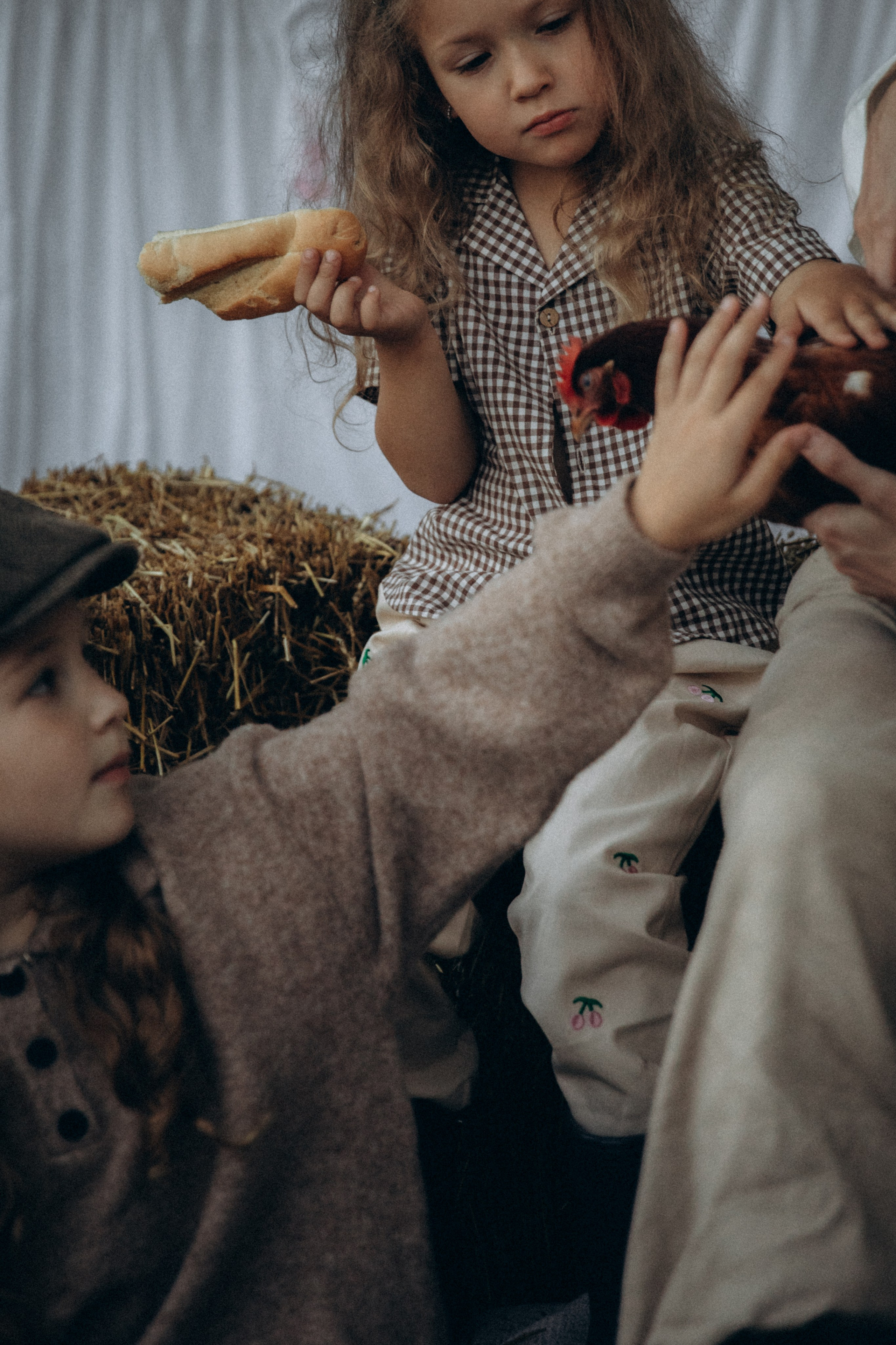 Вечер в саду. Фотограф  Челябинск Варвара Шарапова