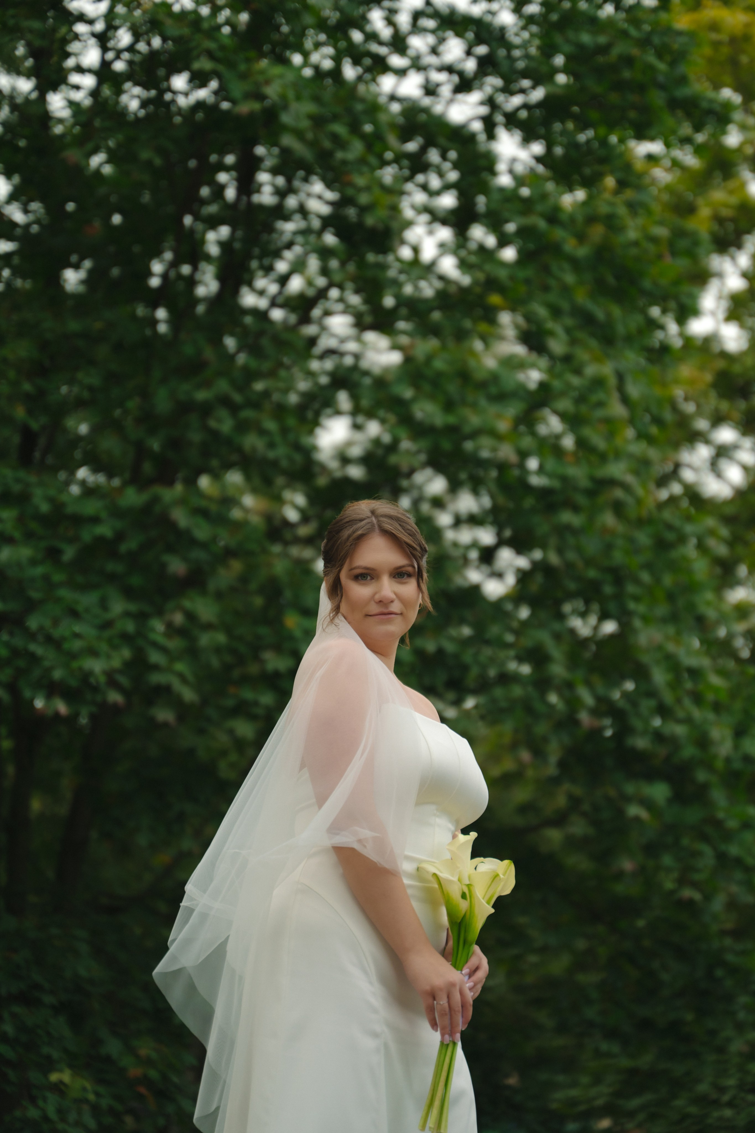 Александр и Вероника. Ваш свадебный и семейный фотограф