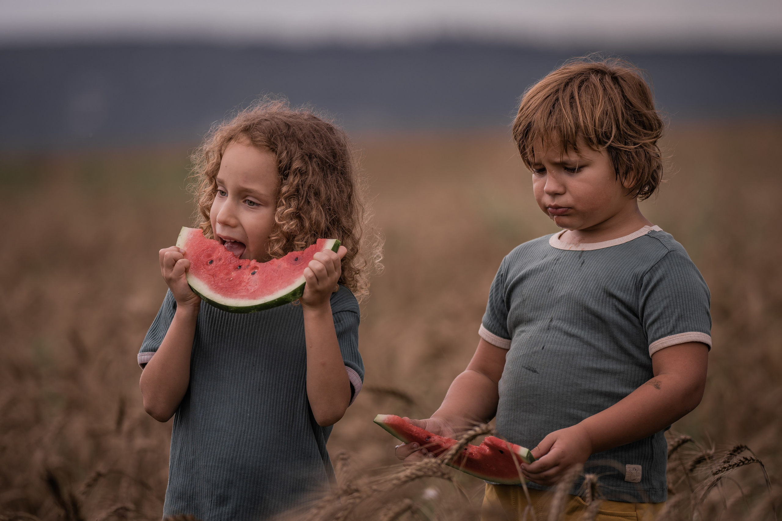 Пшеничное поле, август. Семейный фотограф Ефремова Виктория