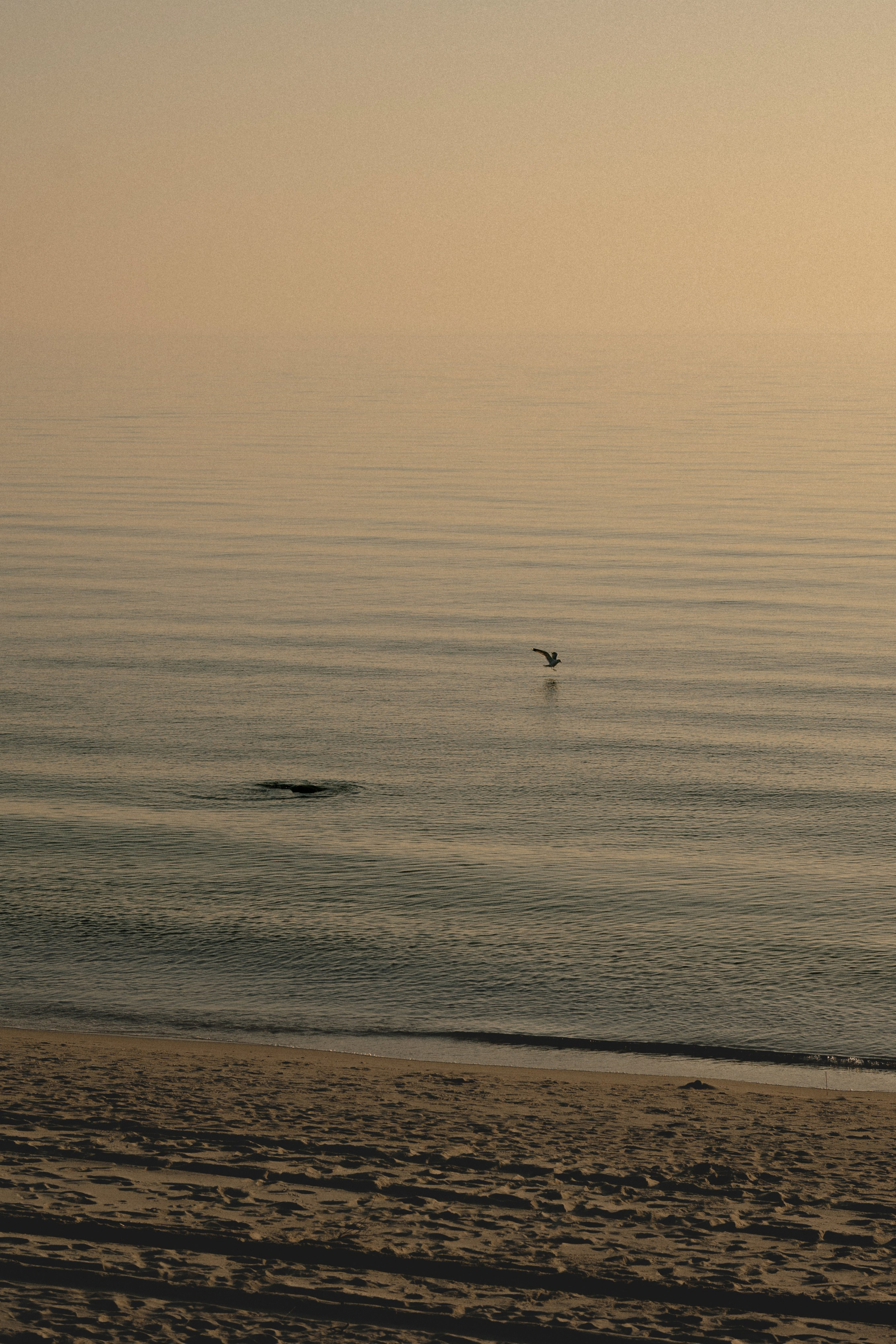 G&A. Свадебный и портретный фотограф в Калининграде и Москве Марк Юдинцев