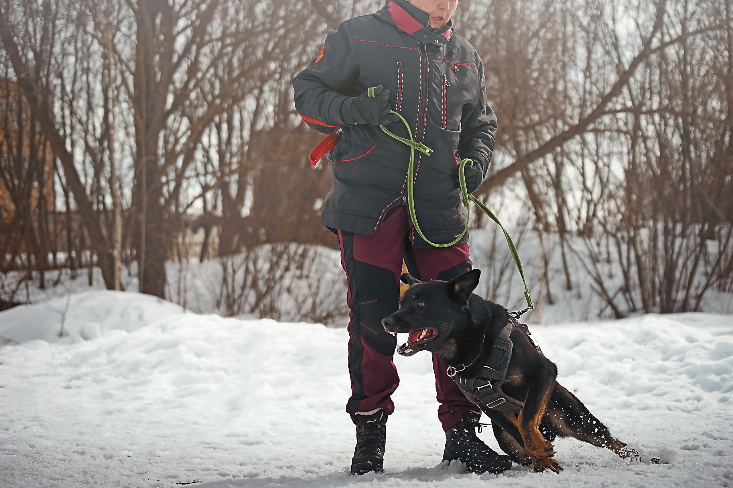 Репортажная съемка. Фотограф-анималист Нижний Новгород