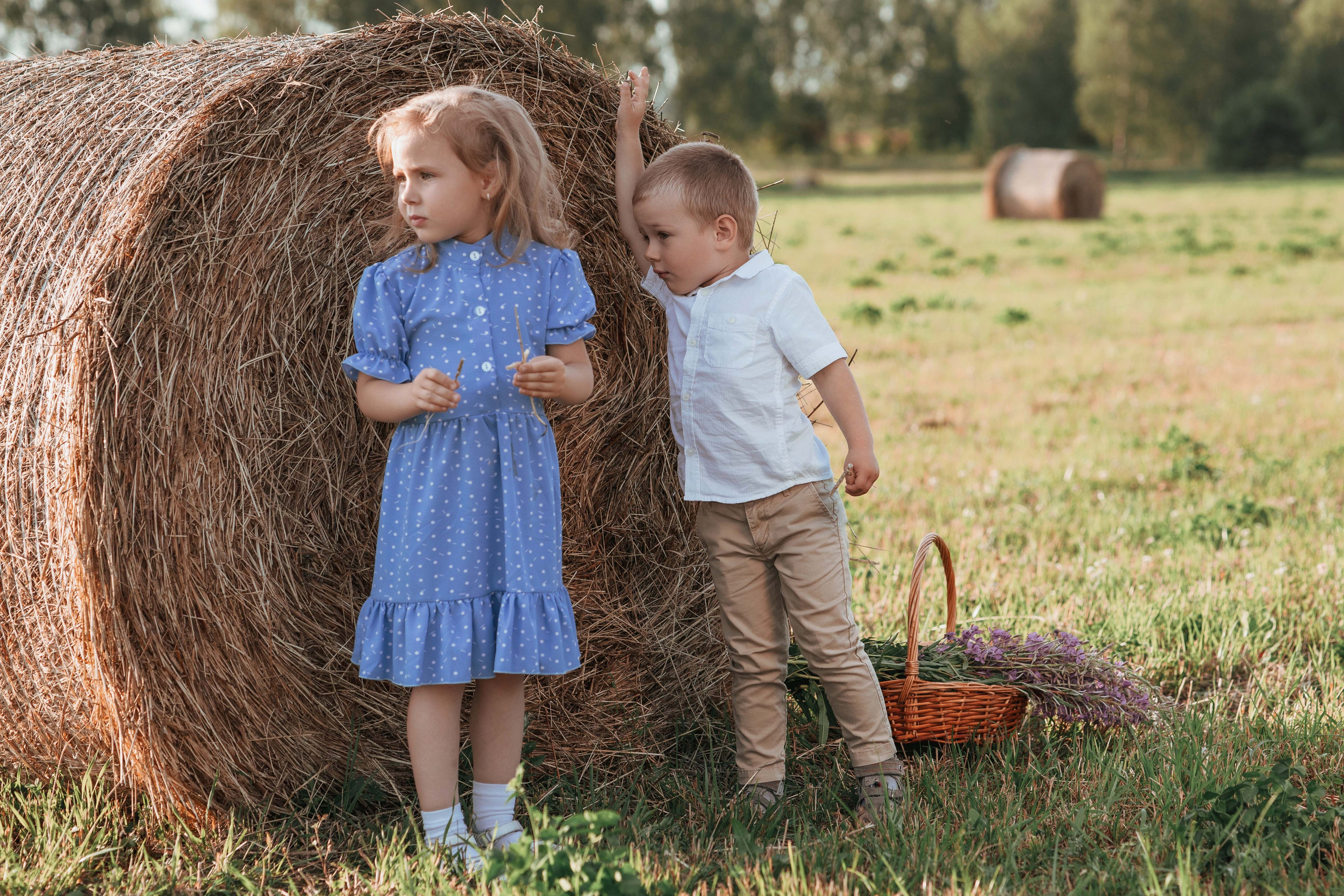 Прогулка в поле. Фотограф в Москве Мухина Ирина