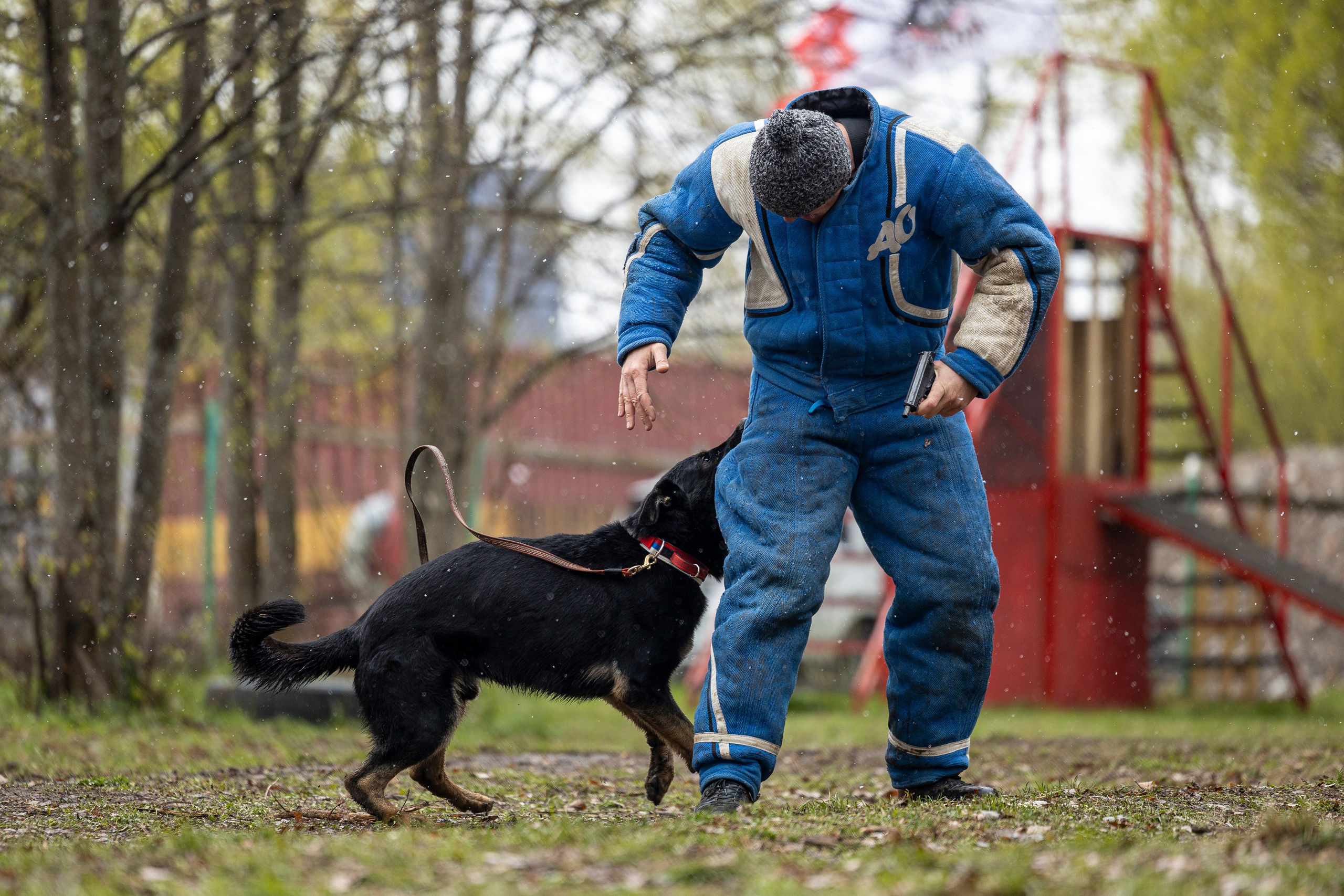 Квалификационные состязания по мондьорингу г. Вологда 11.05.24. Фотограф-анималист Анна Маринич
