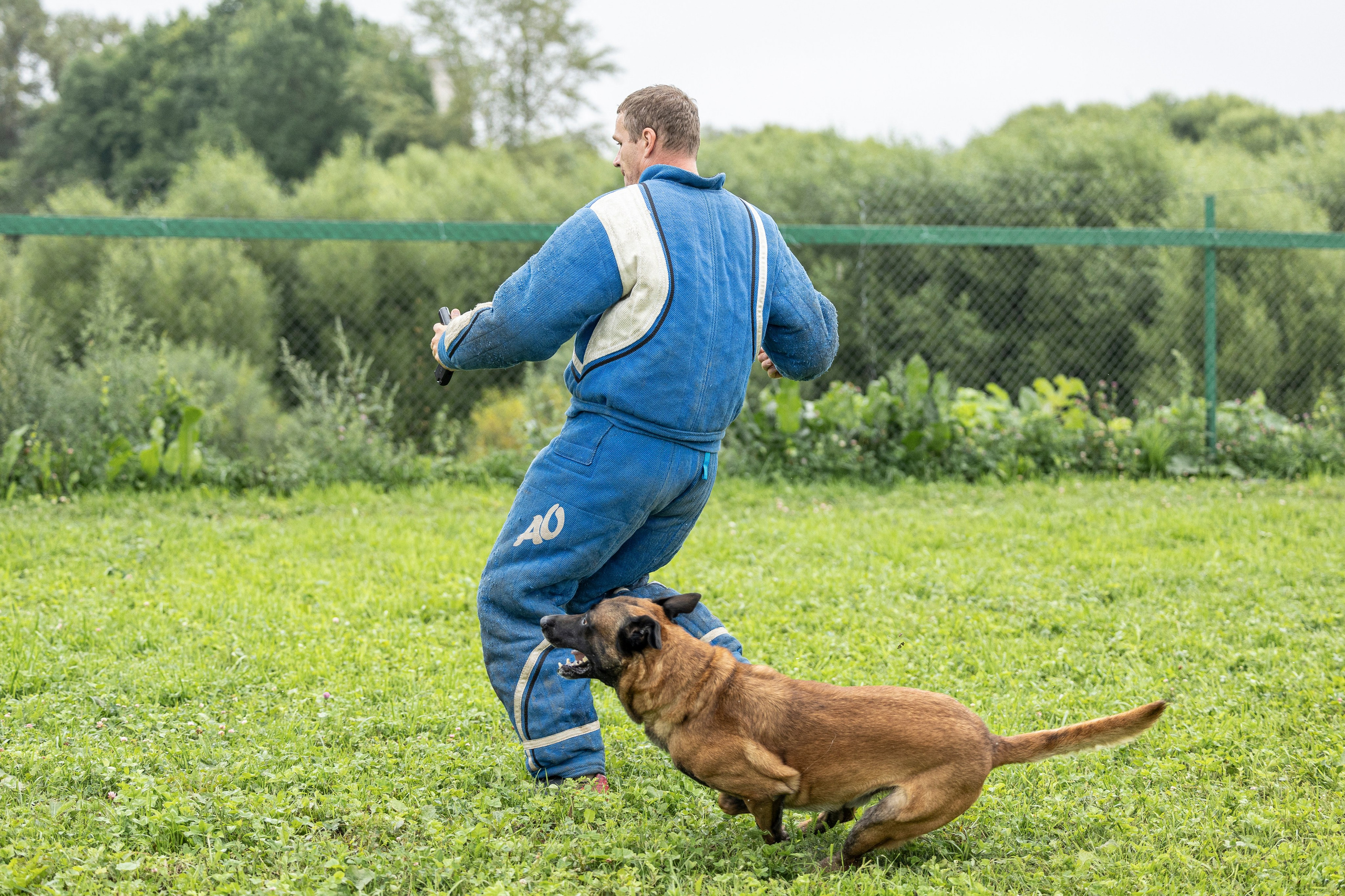 Соревнования по Мондьорингу г. Вологда 10-11.08.2024. Фотограф-анималист Анна Маринич